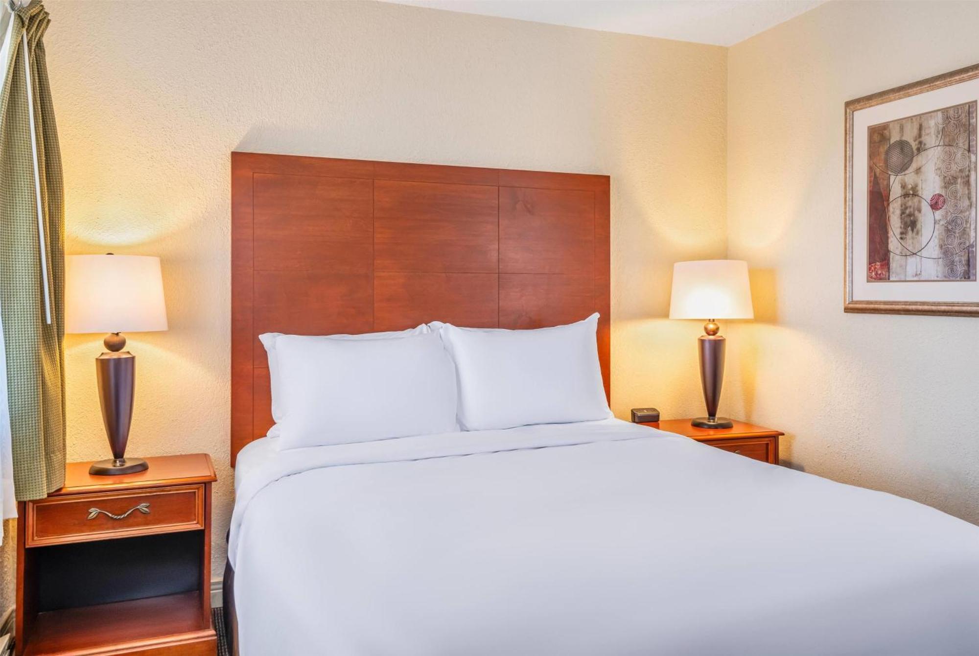 One-Bedroom Queen Suite Non-Smoking