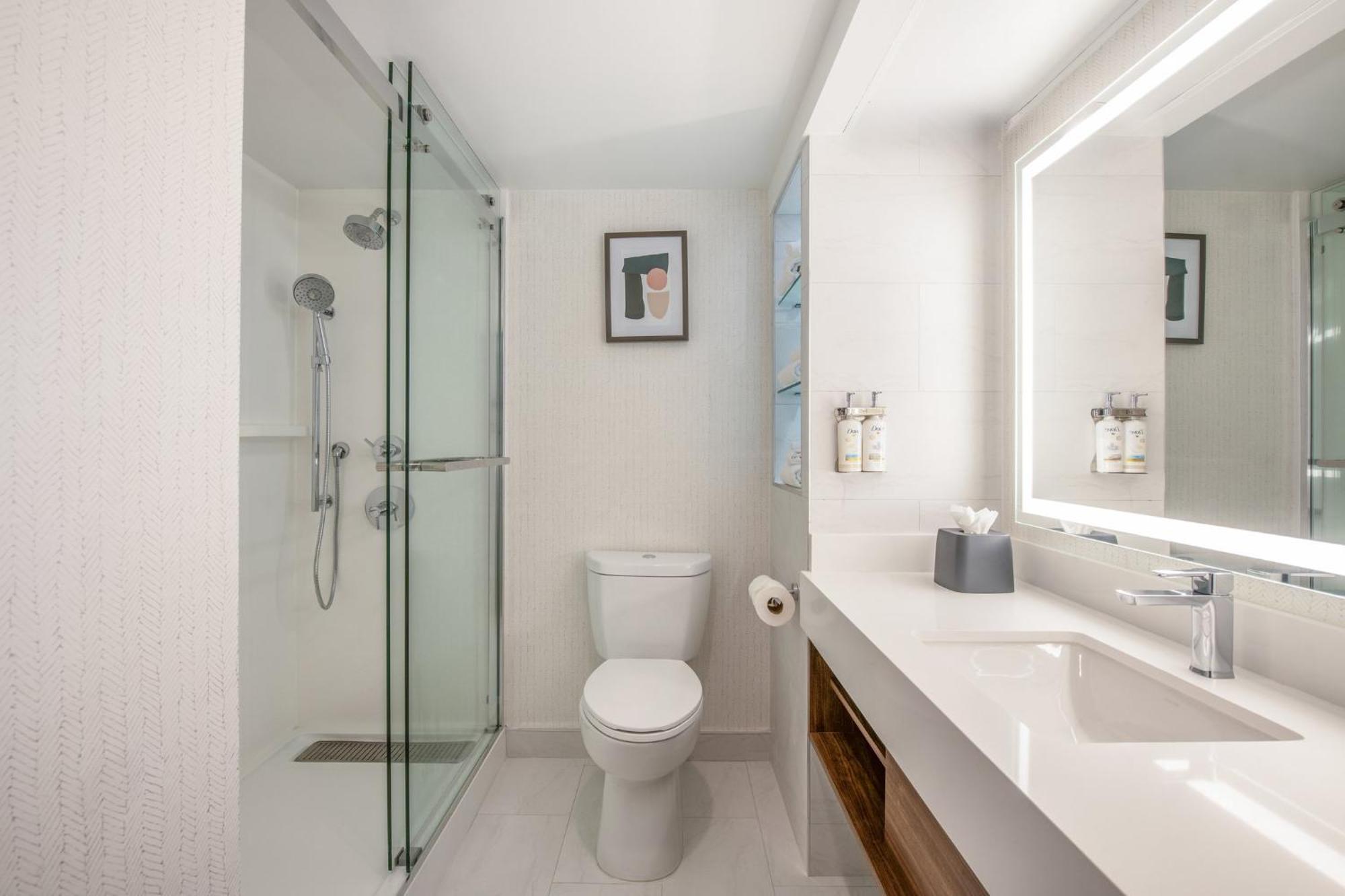 King Room Accessible Tub Mobility Access