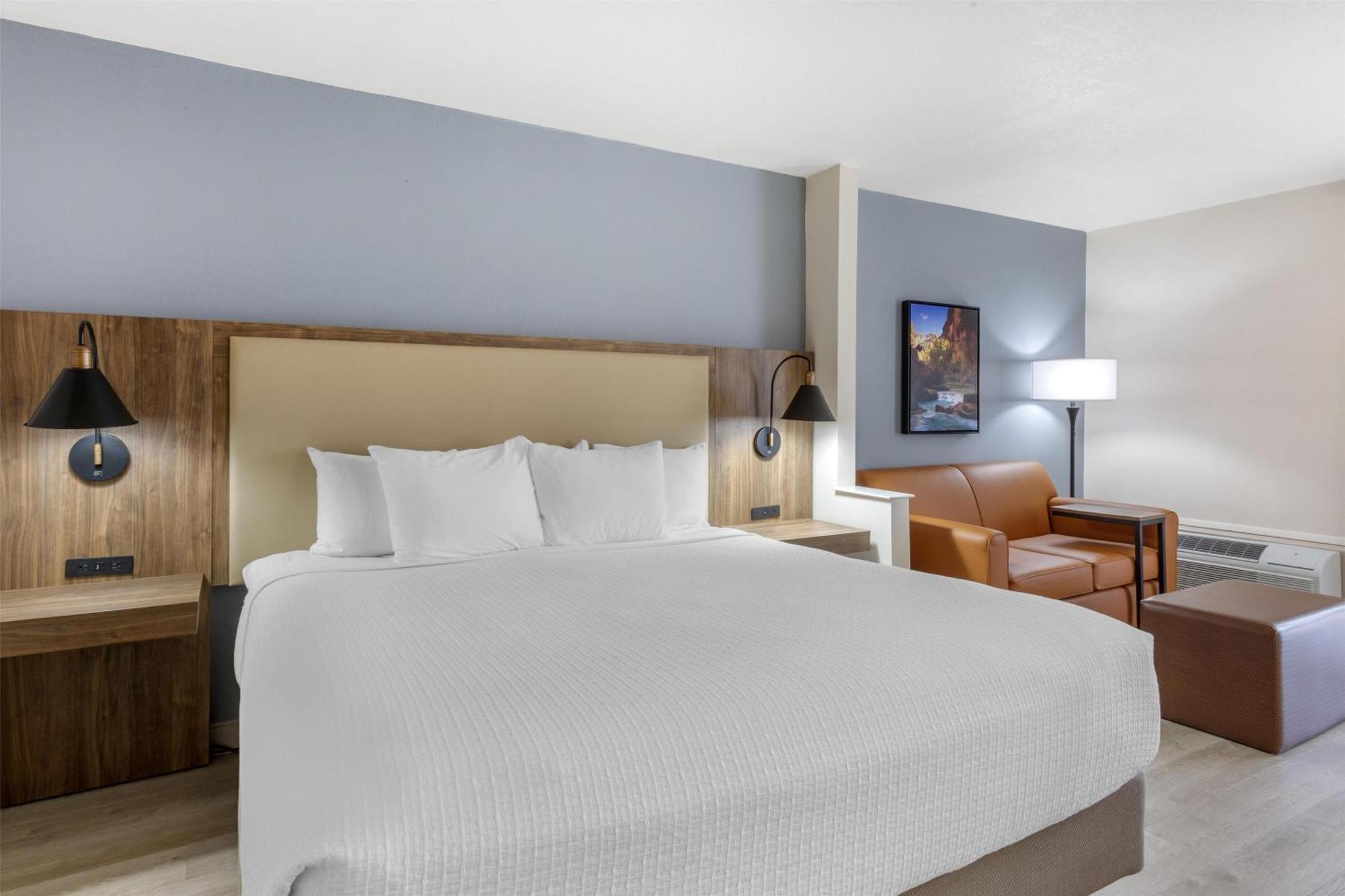 King Suite Pet Friendly or Non-Smoking