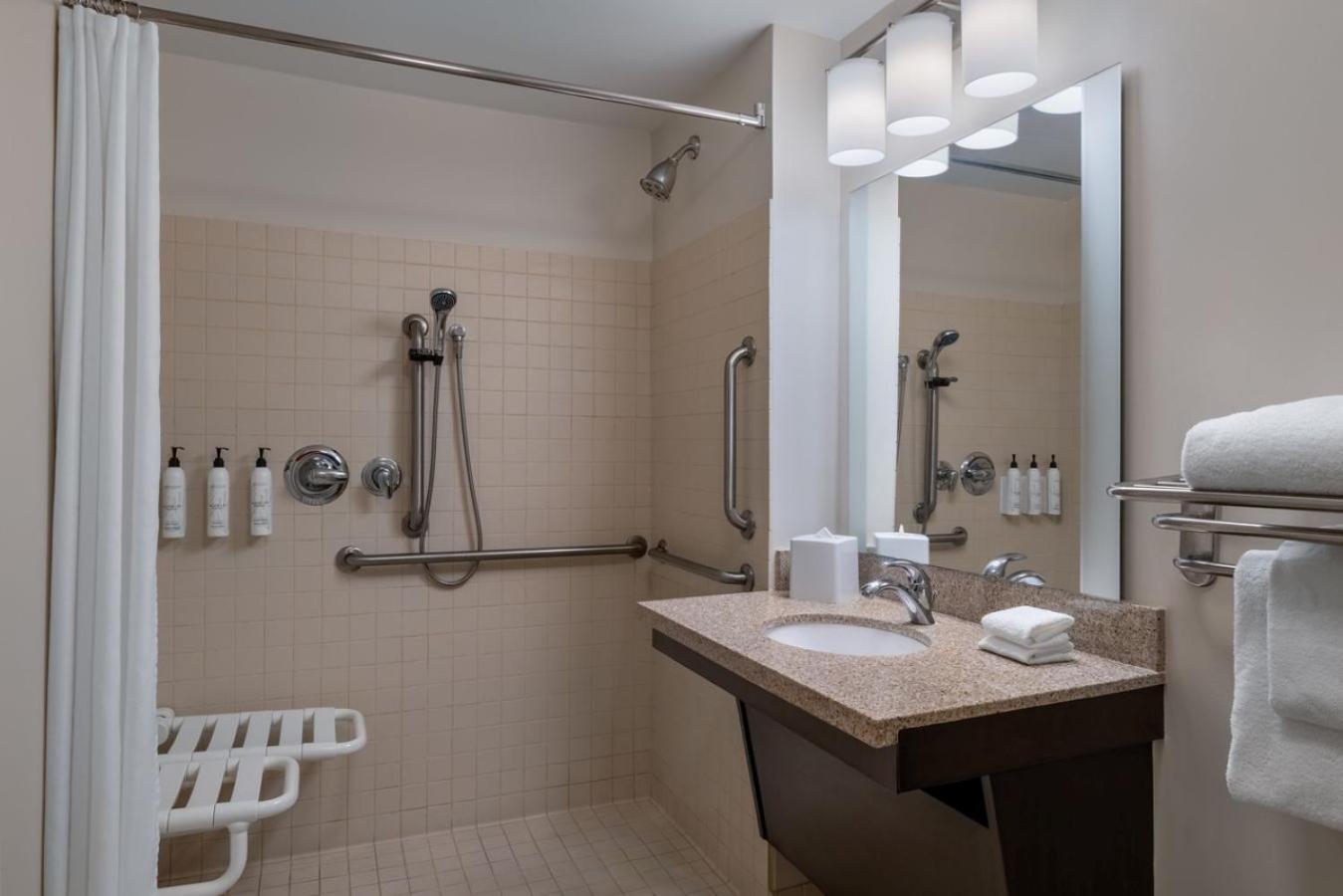 One-Bedroom King Suite