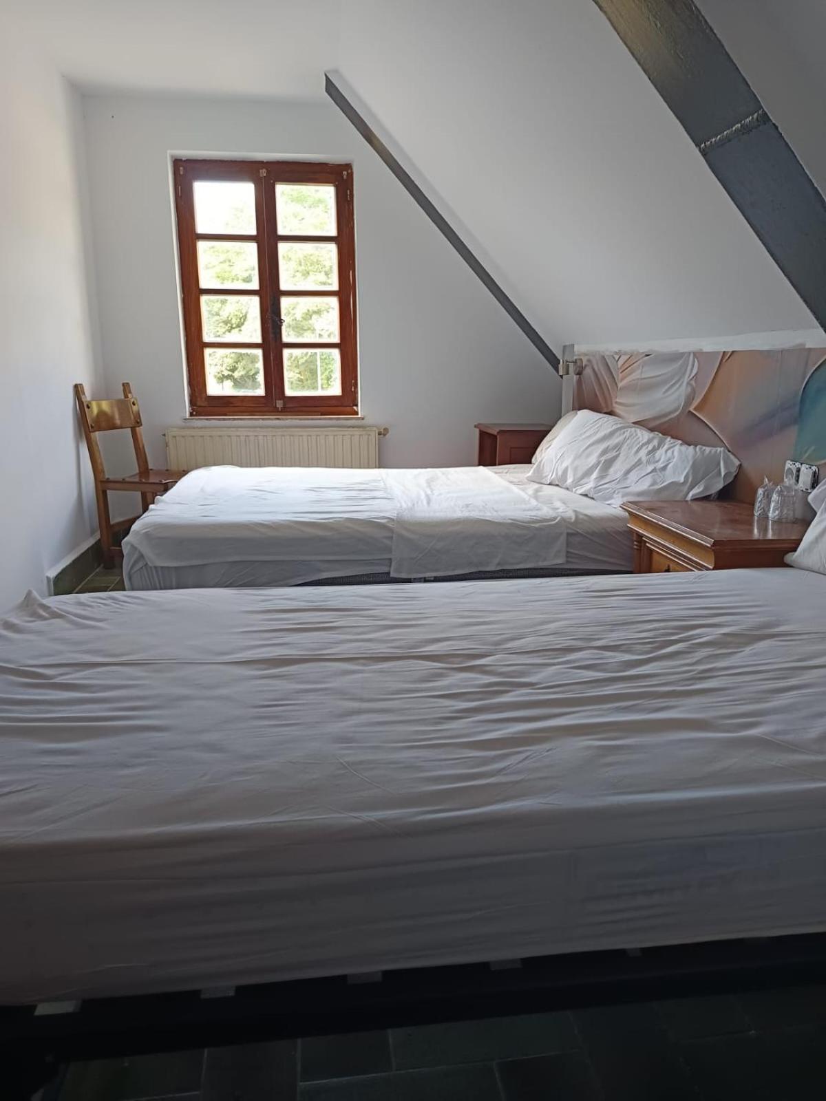 Habitación Familiar Estándar