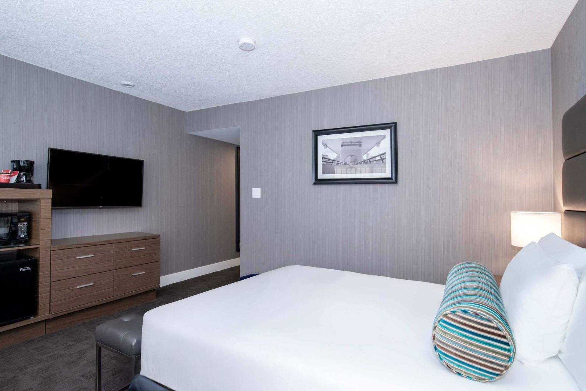 Standard Room 1 Queen Bed