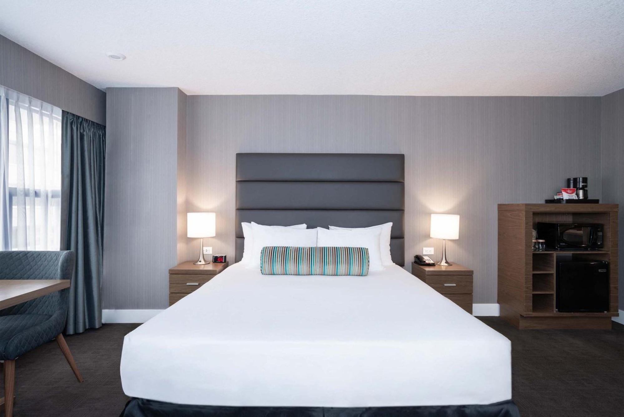 Standard Room 1 King Bed