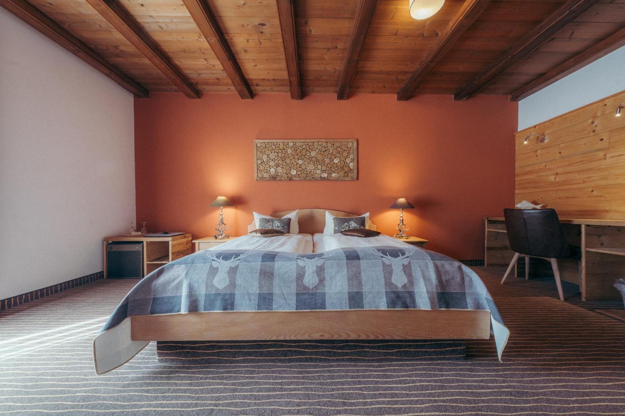 Double Room Mountain View