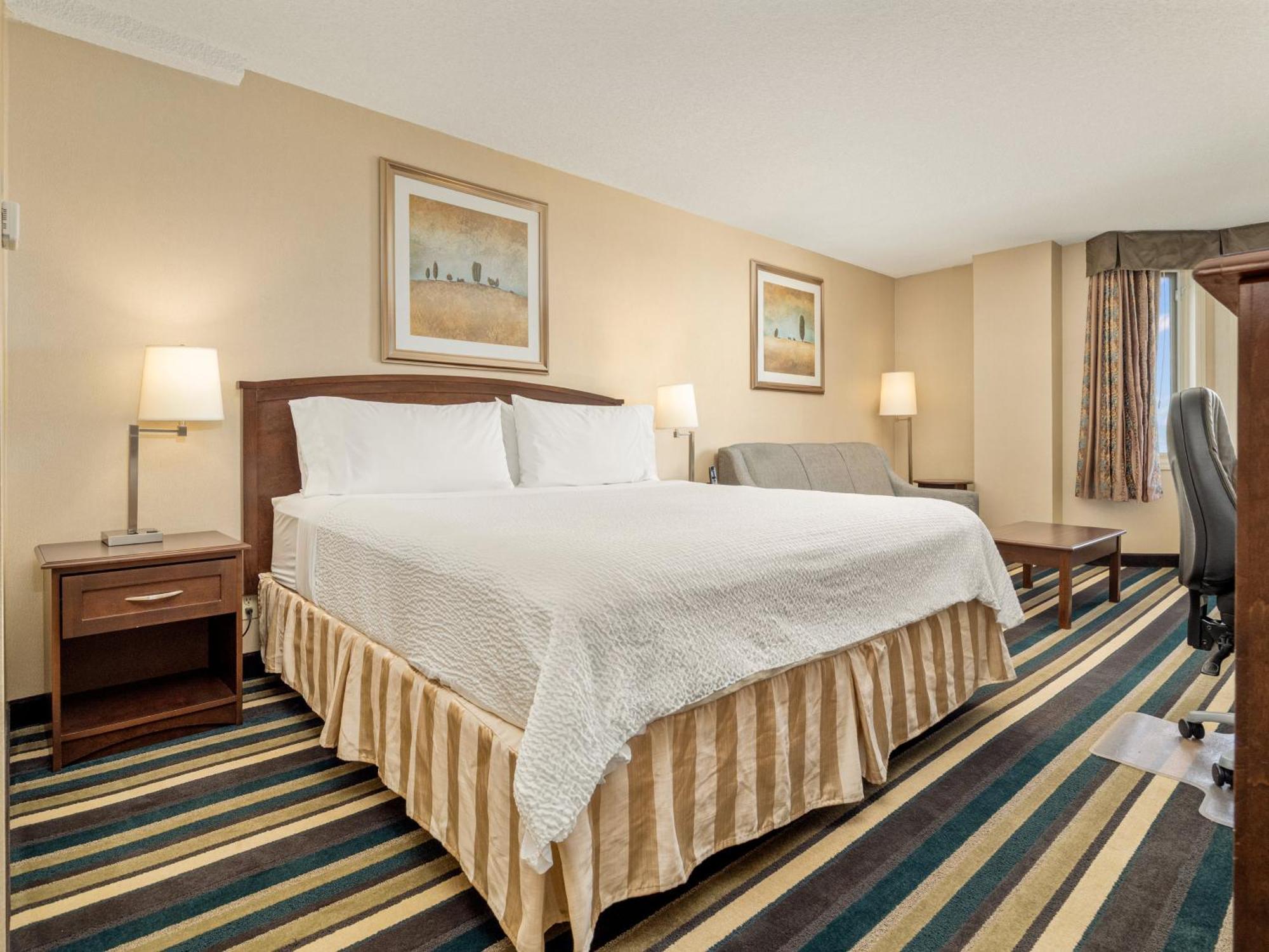 Standard King Room with Sofa Bed