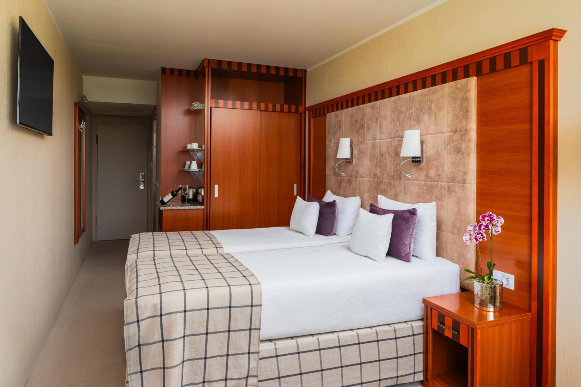 Standard Premium Double or Twin Room Danube View