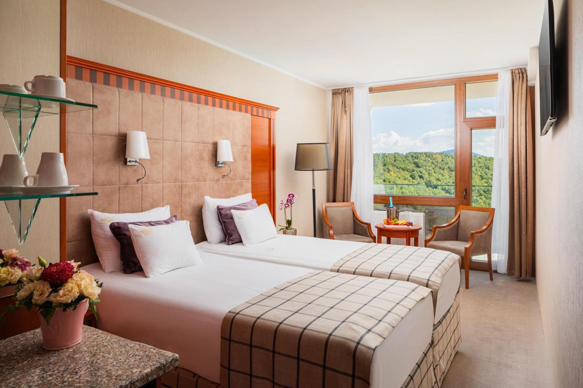 Standard Premium Double or Twin Room Danube View
