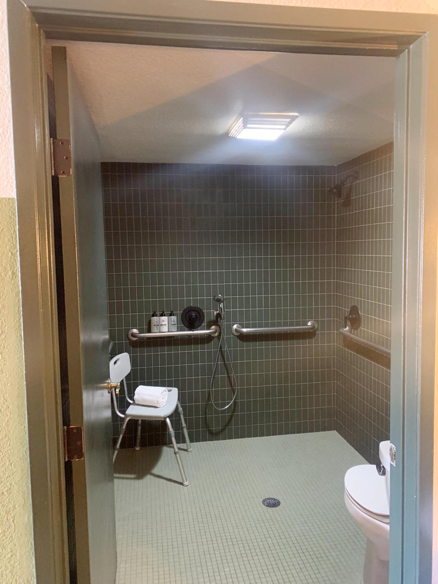 King Room Roll Shower Disability Access