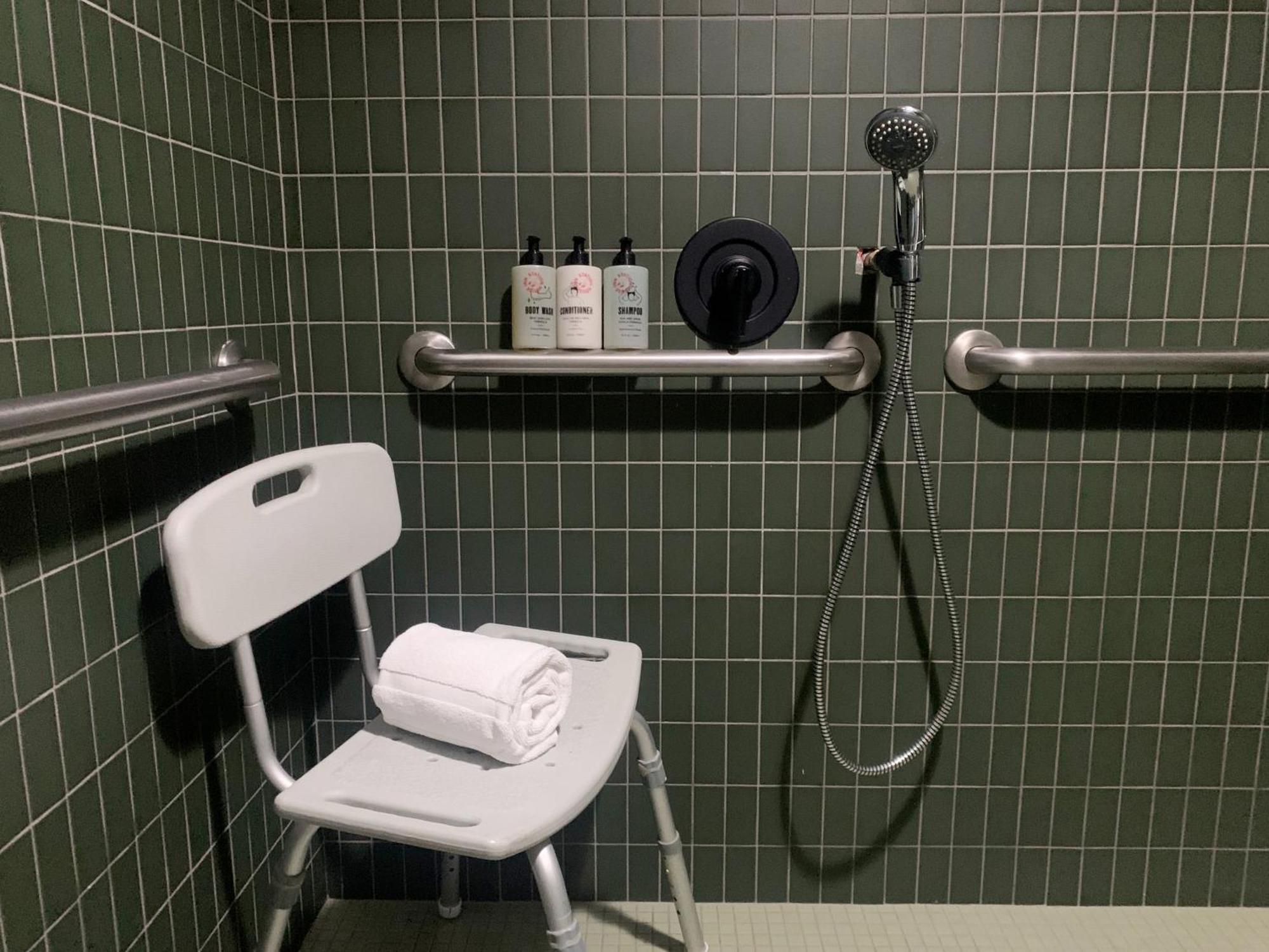 King Room Roll Shower Disability Access