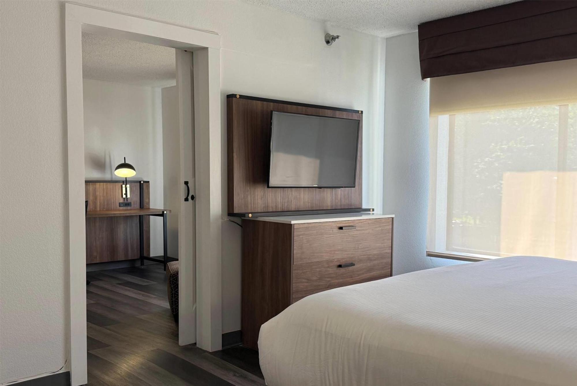 Deluxe One-Bedroom King Suite Non Smoking