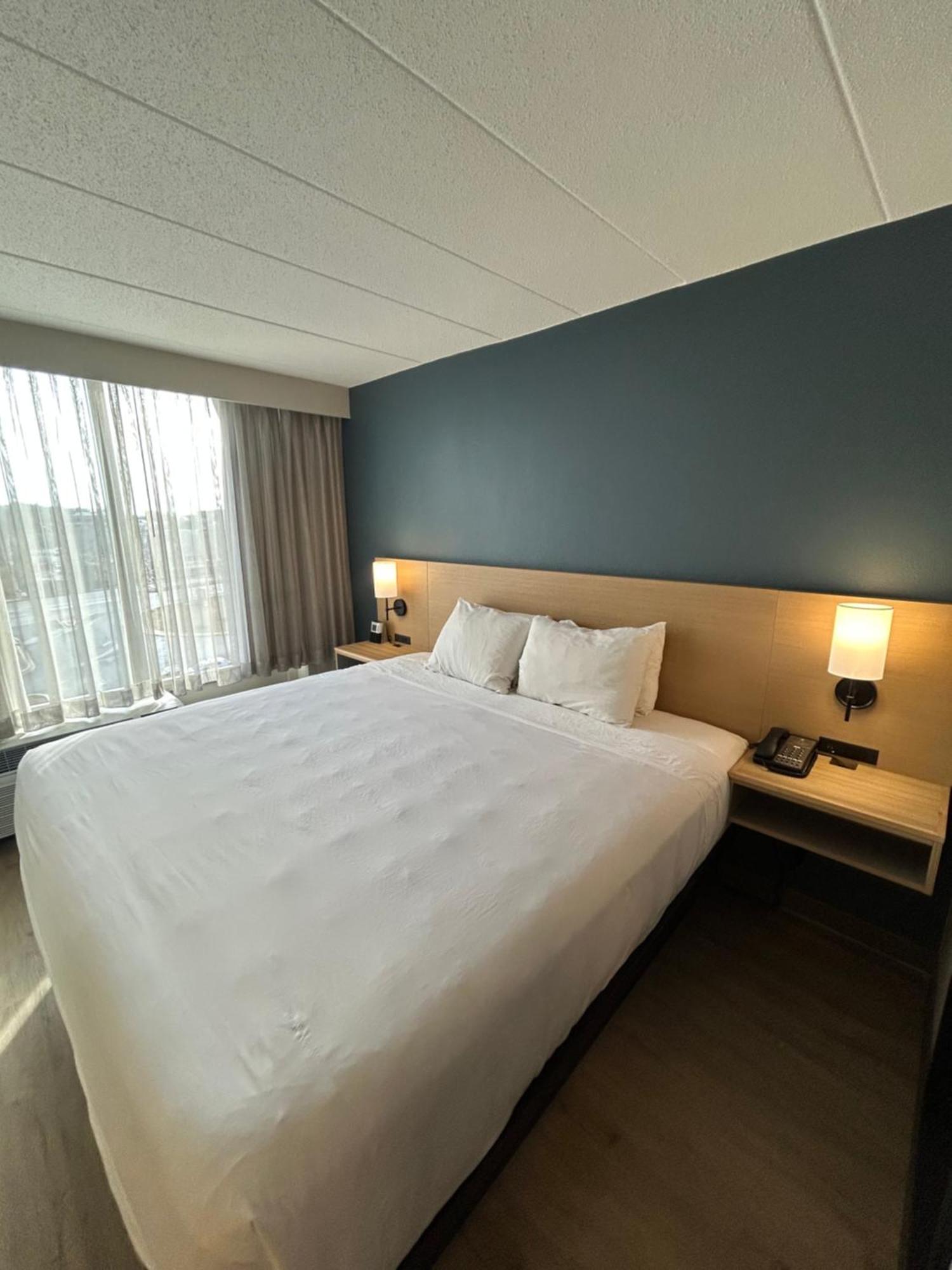 King Room with Sofa Bed
