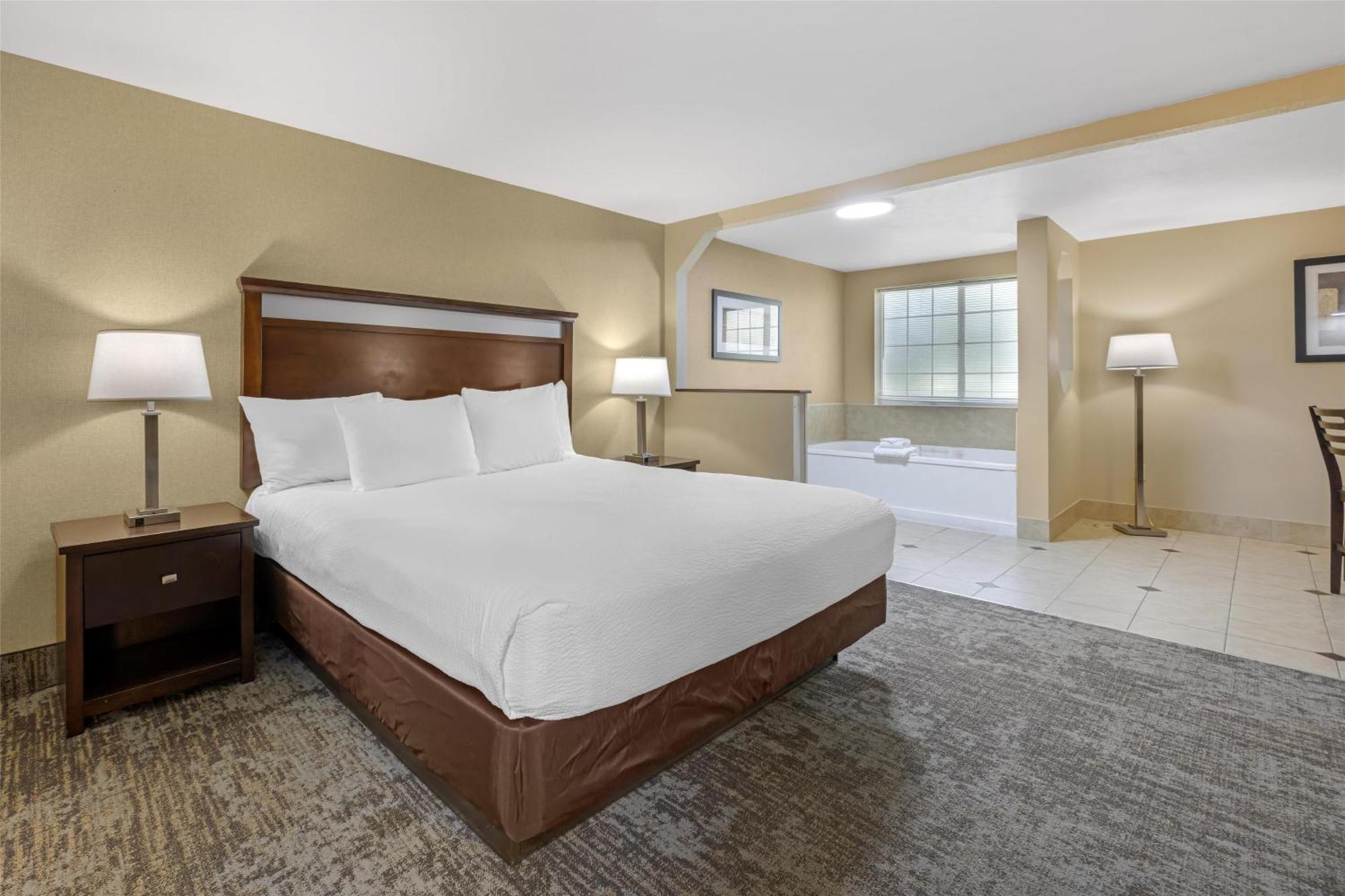 Presidential King Suite Sofa Bed Jetted Tub Non-Smoking
