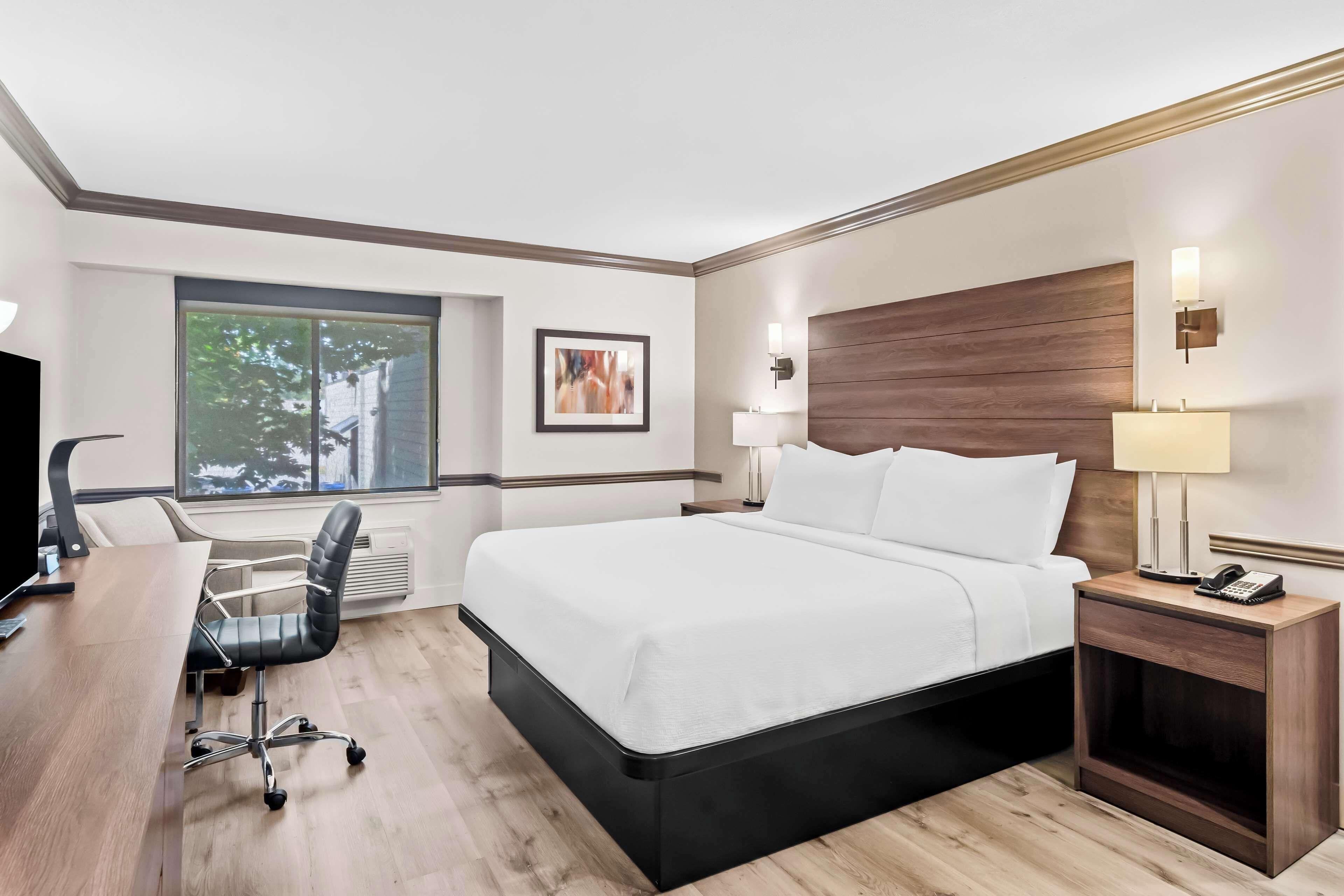 King Room with Bath Tub - Mobility Access