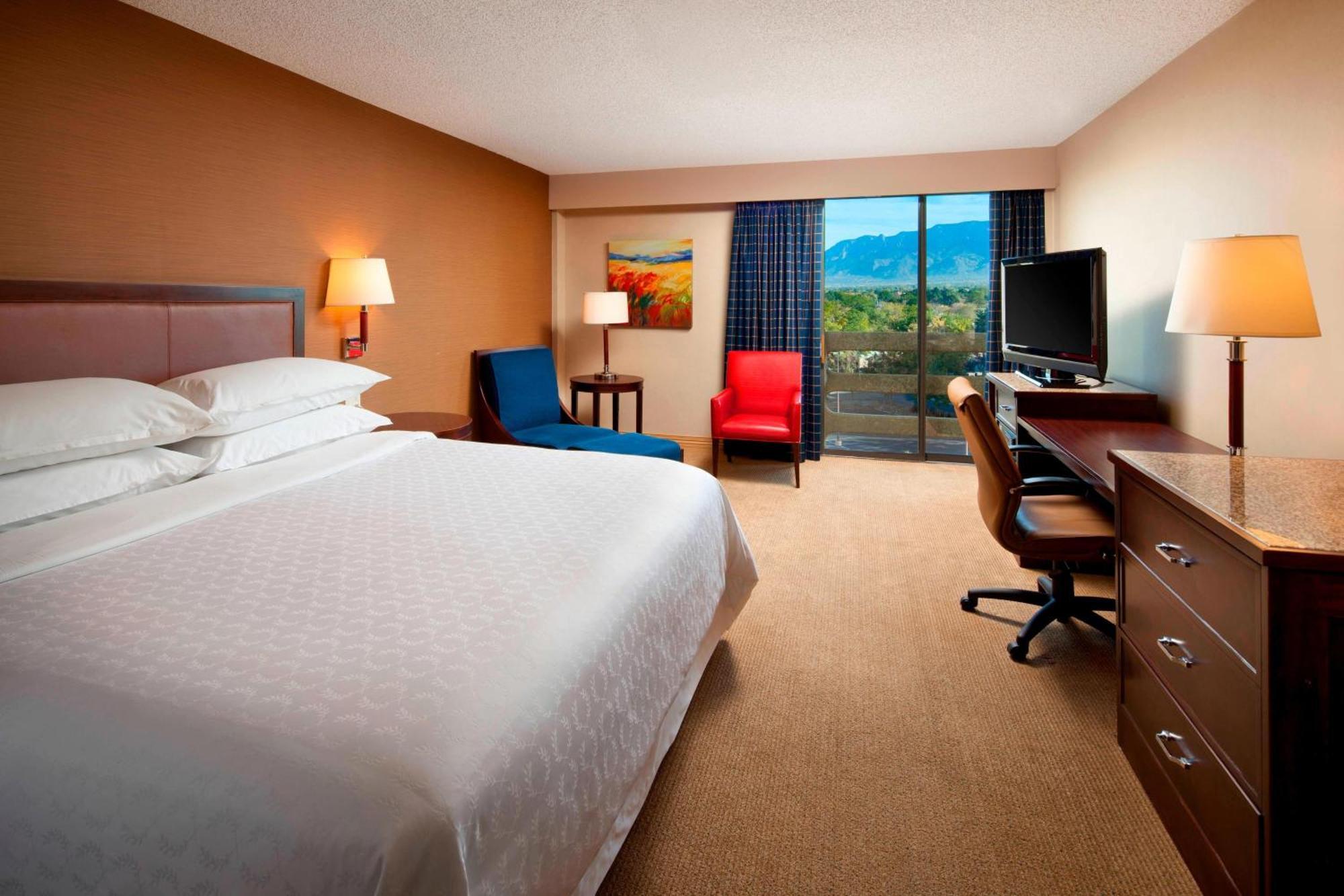 Deluxe Guest room 1 King