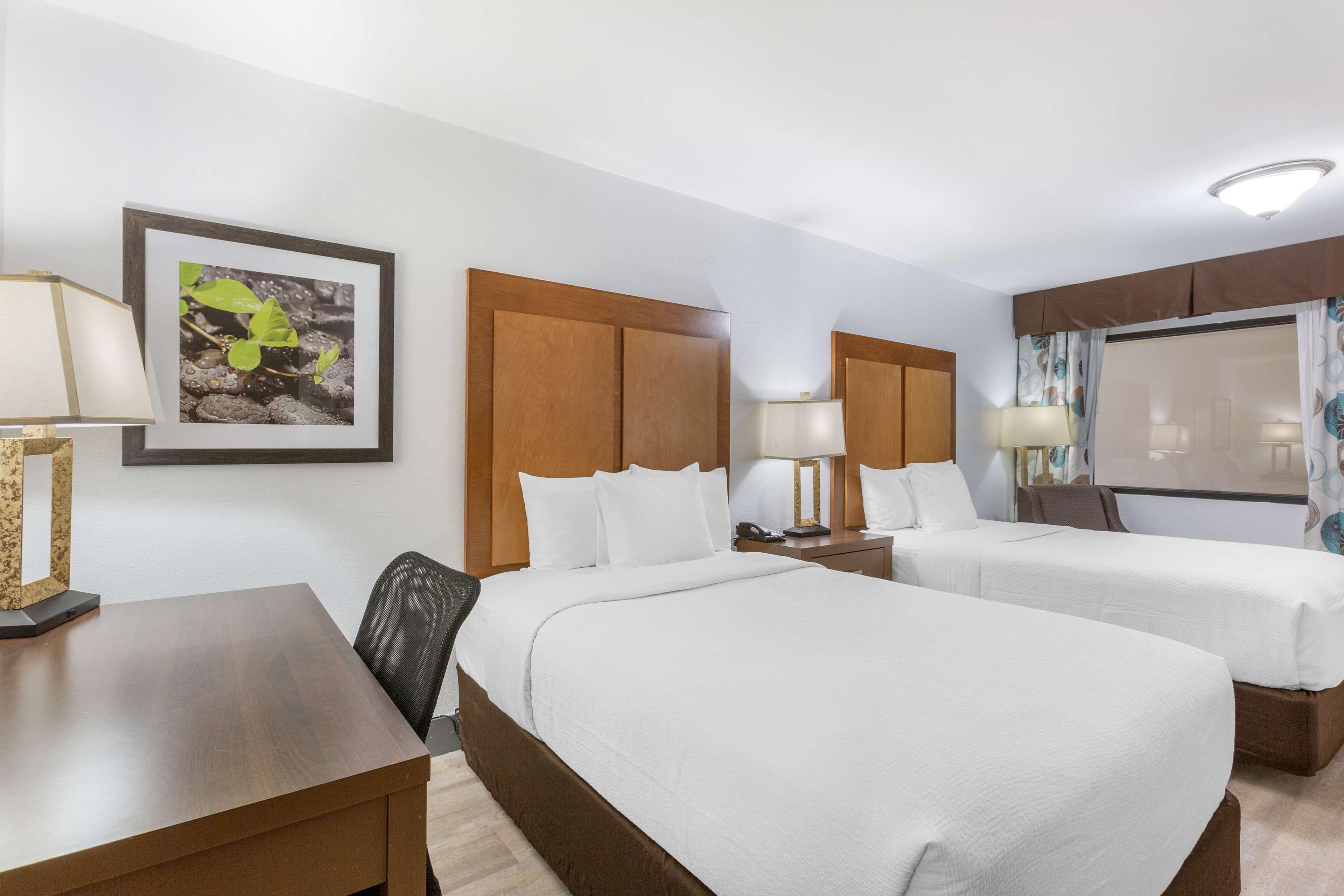 Double Room Two Double Beds