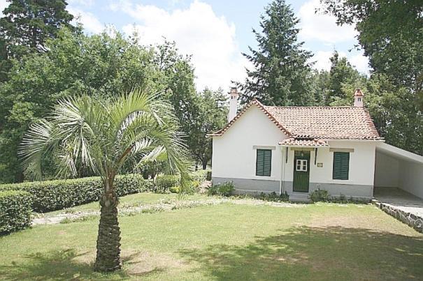 Two-Bedroom Chalet,1706777814:JPEG