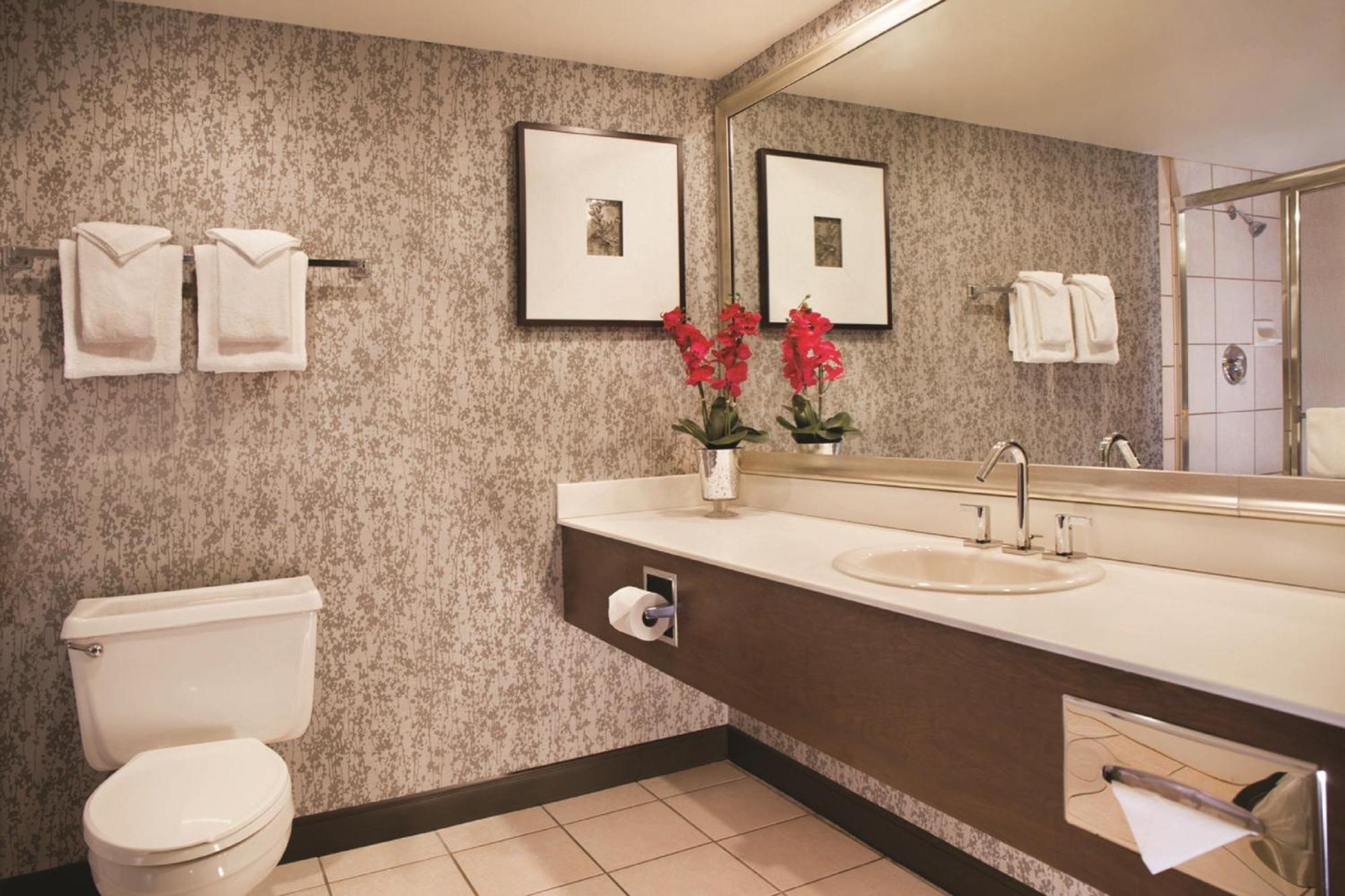 Quarto King Royal Superior