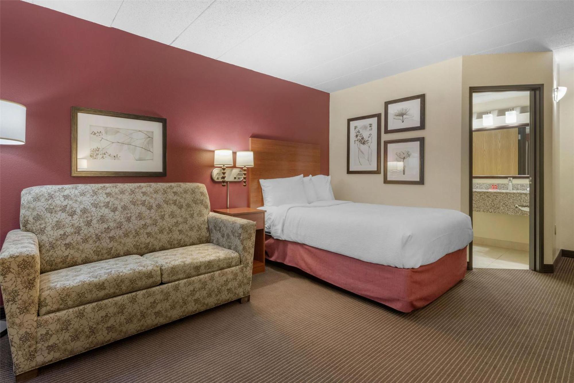 Queen Room Sofa Bed