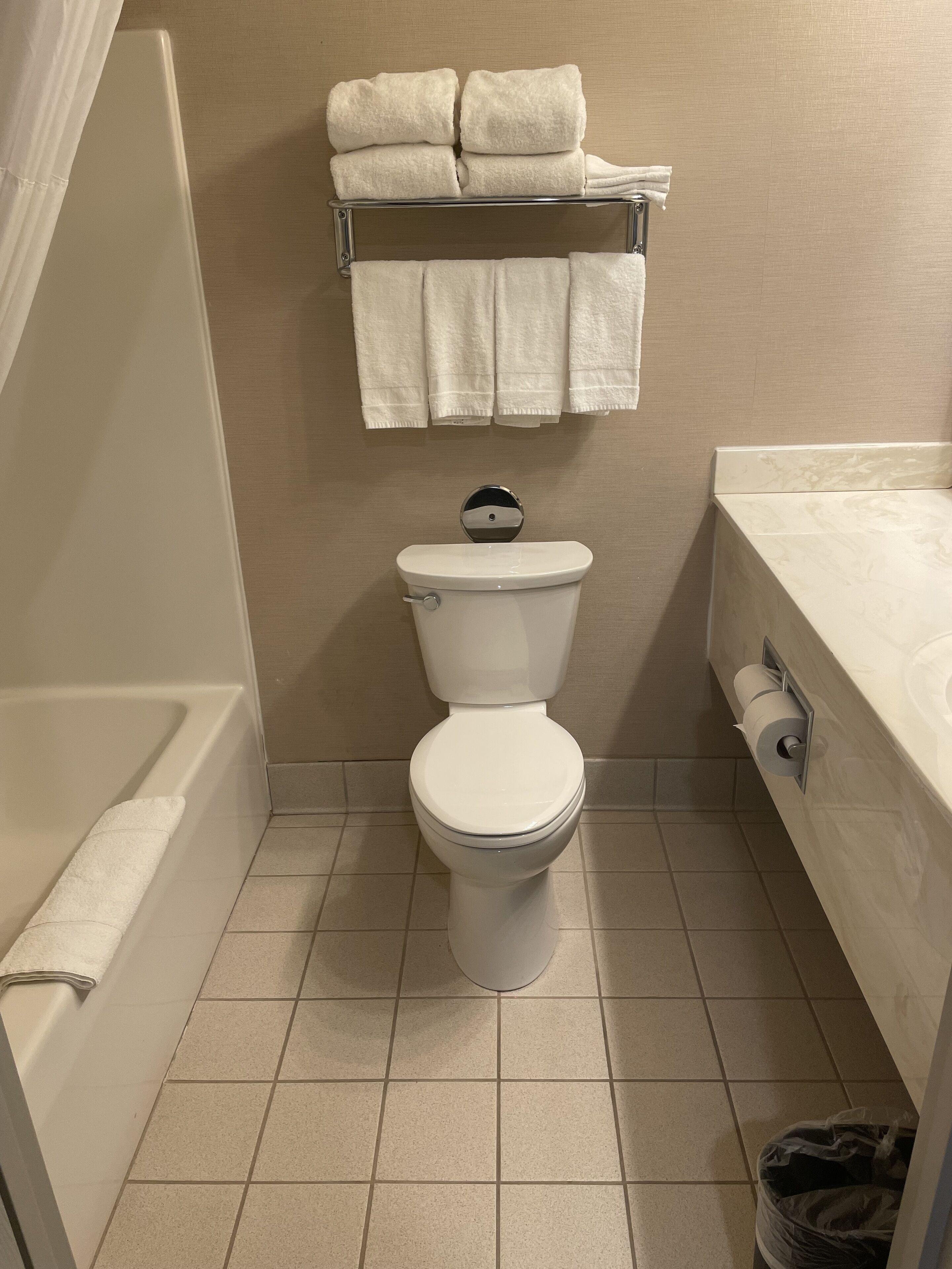 Premium One-Bedroom King Suite Pet Friendly or Non-Smoking