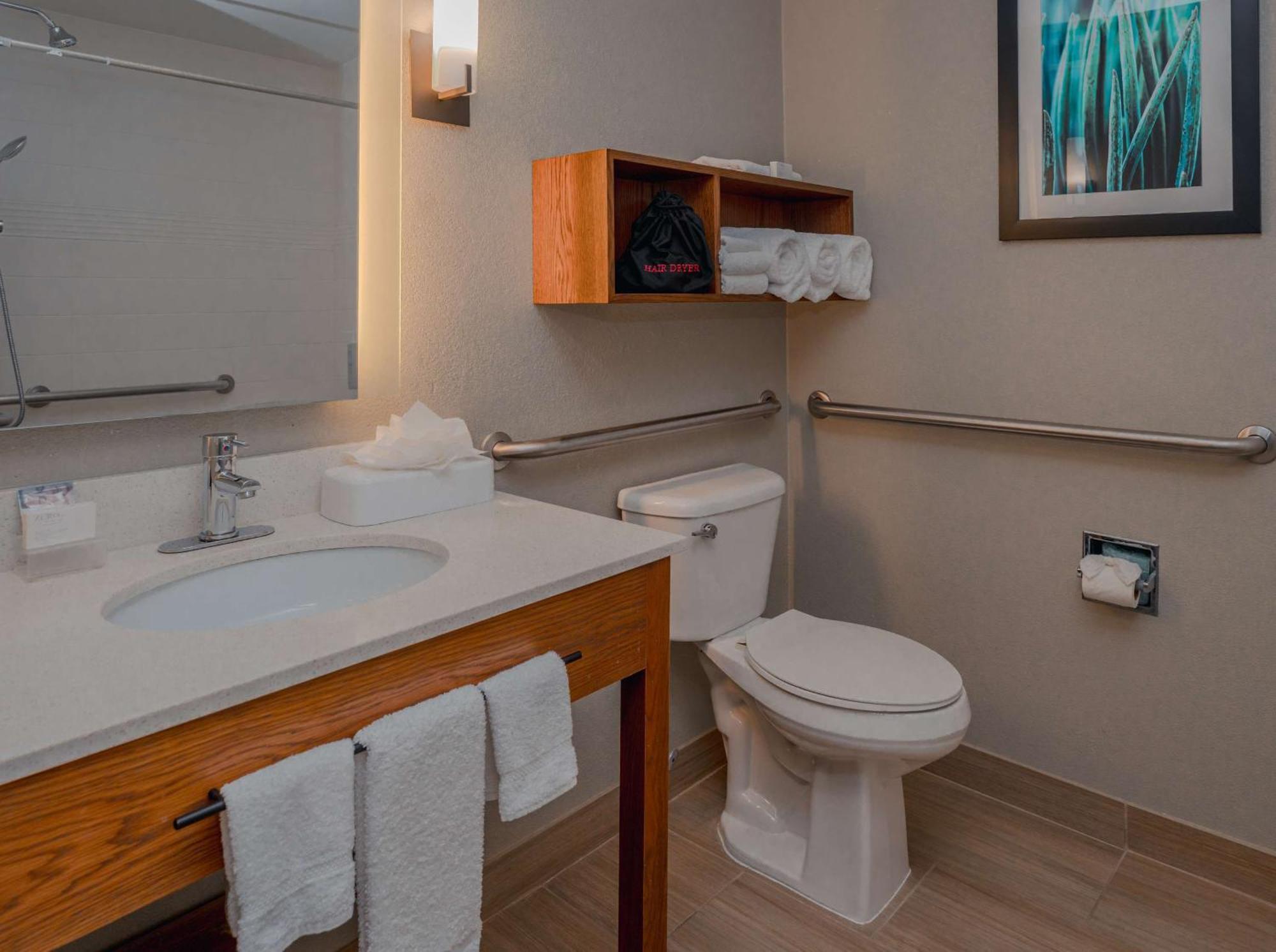 King Suite Accessible Tub Mobility Hearing Access or Non-Smoking