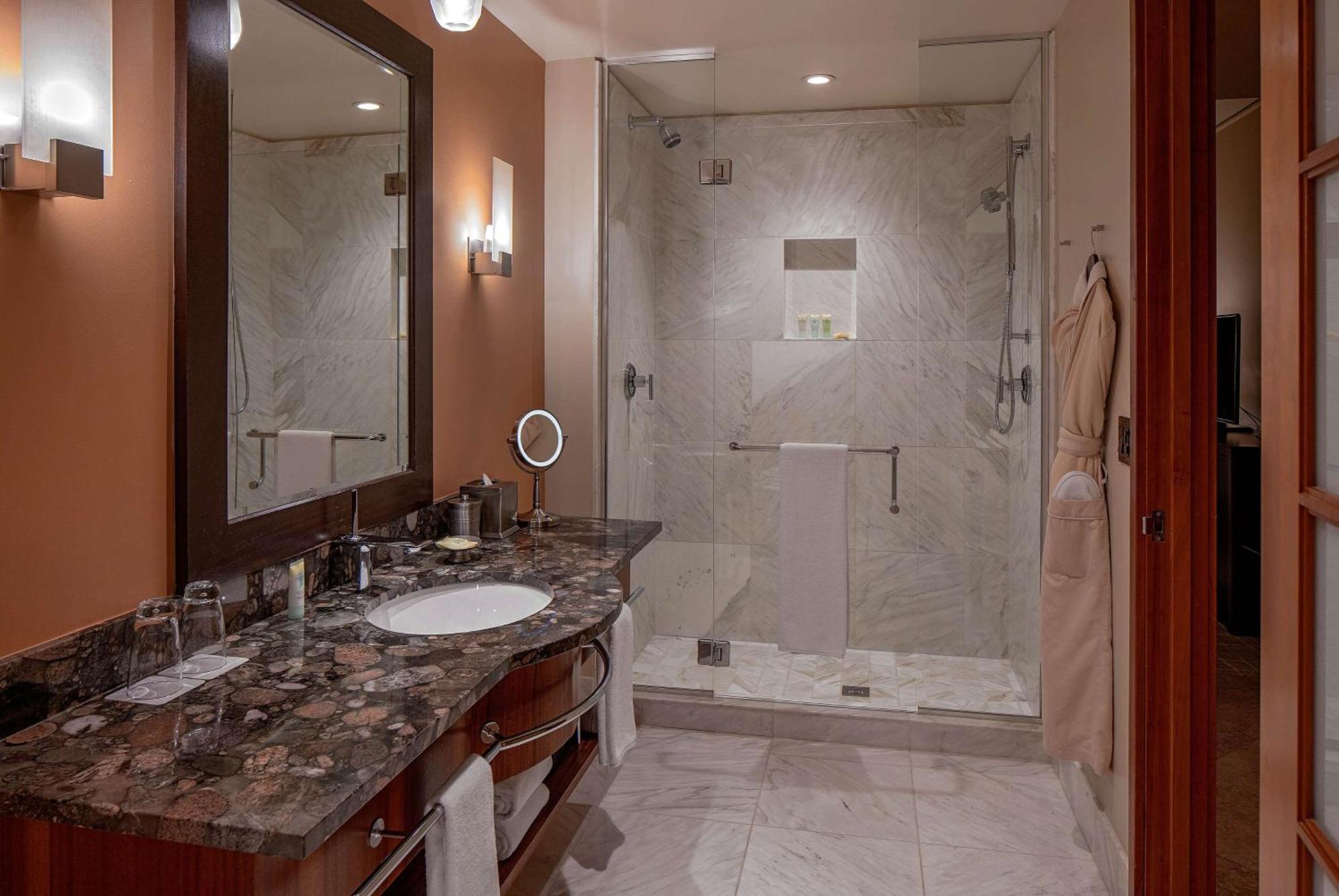 King Room Accessible Shower Disability Access
