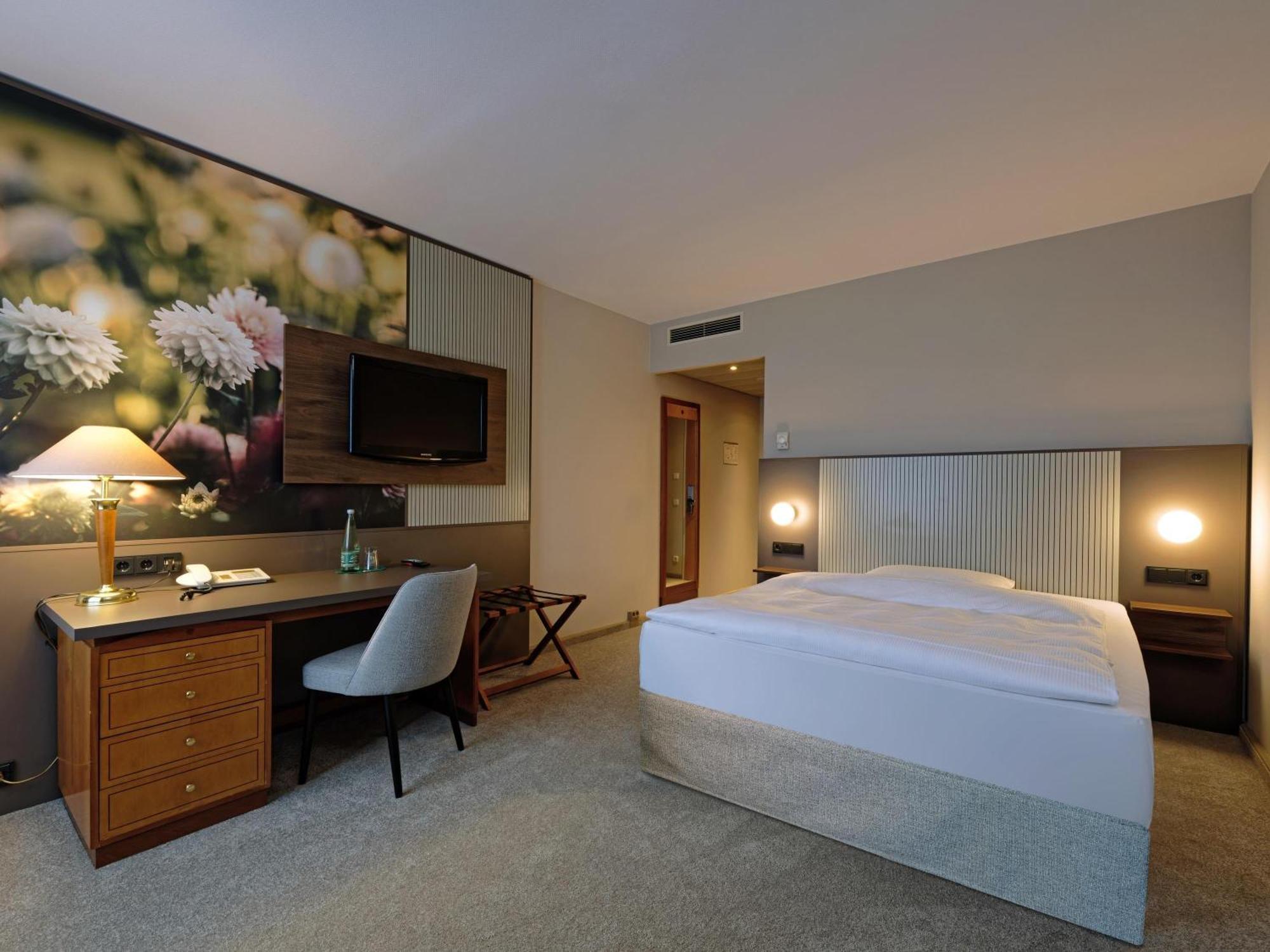 Standard Single Room Queen Bed
