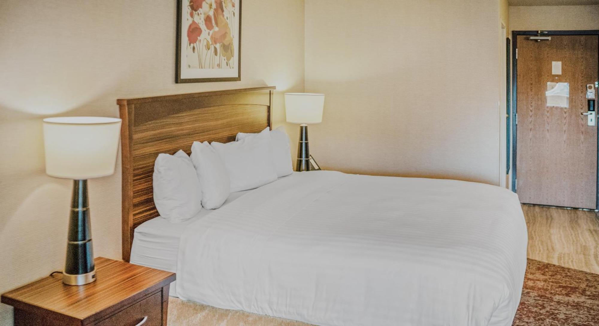 Studio 1 King Bed Non Smoking