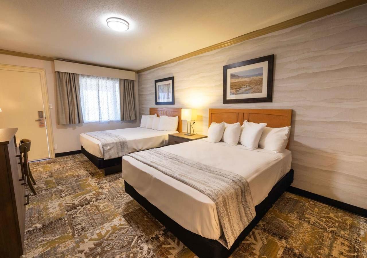 Chambre avec 2 Grands Lits Queen-Size