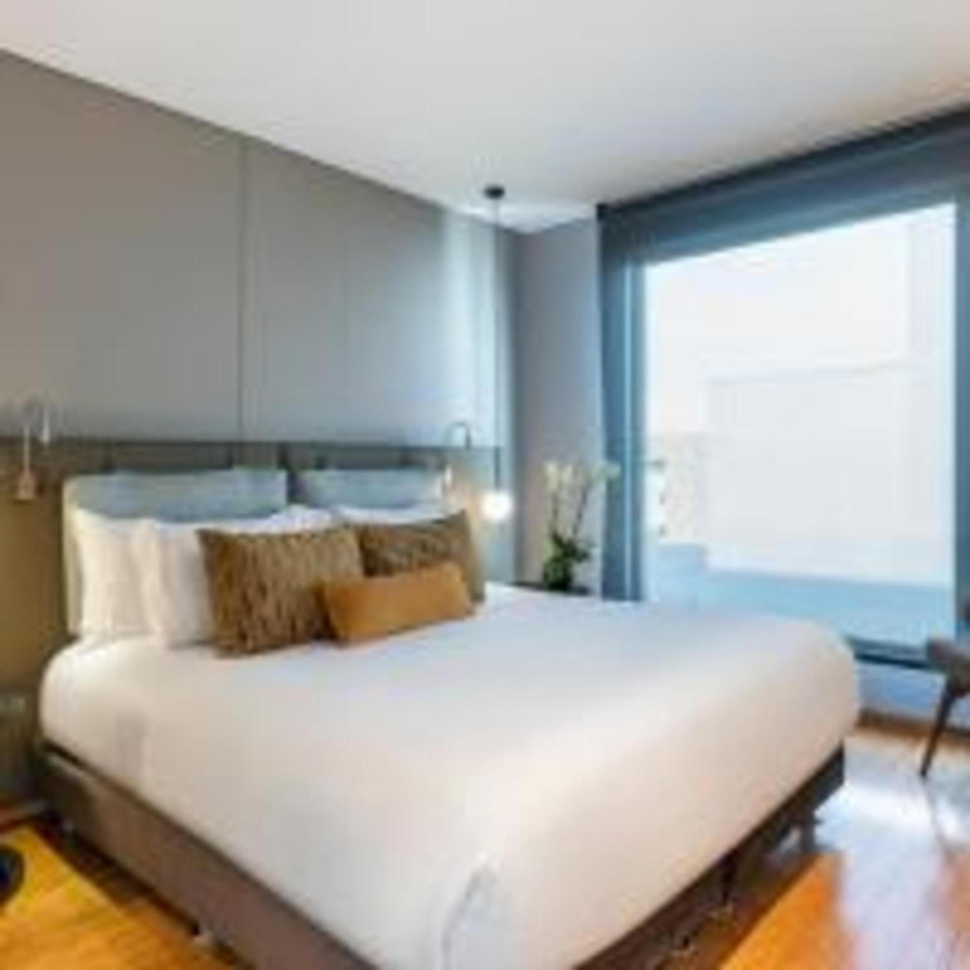 Deluxe One-Bedroom Apartment