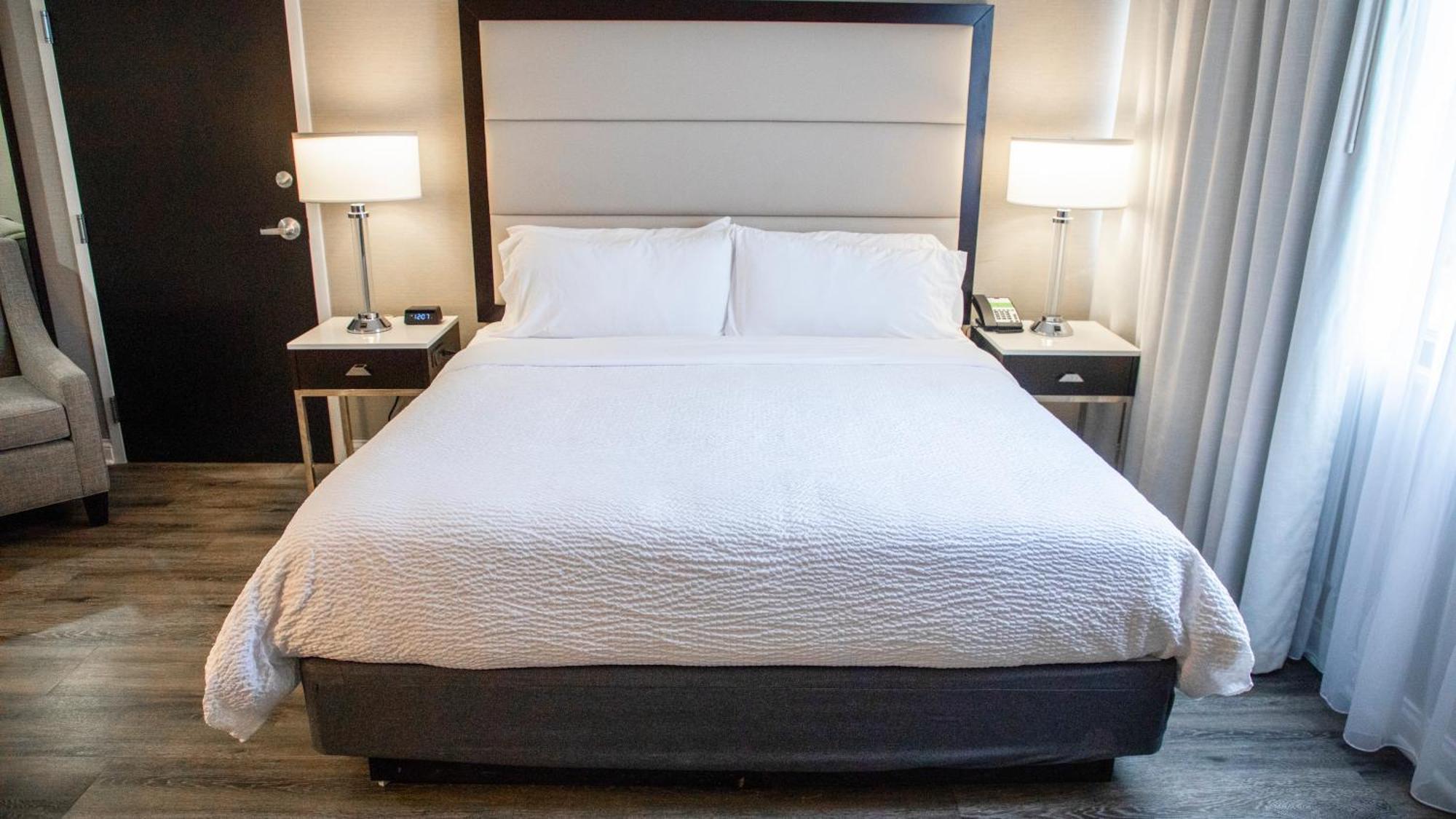 Standard King Room Sofa Bed