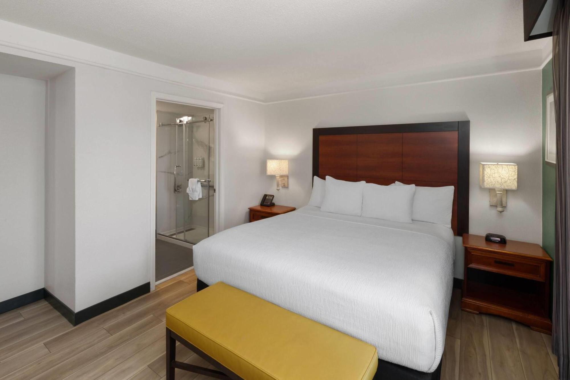 King Suite with Sofa Bed