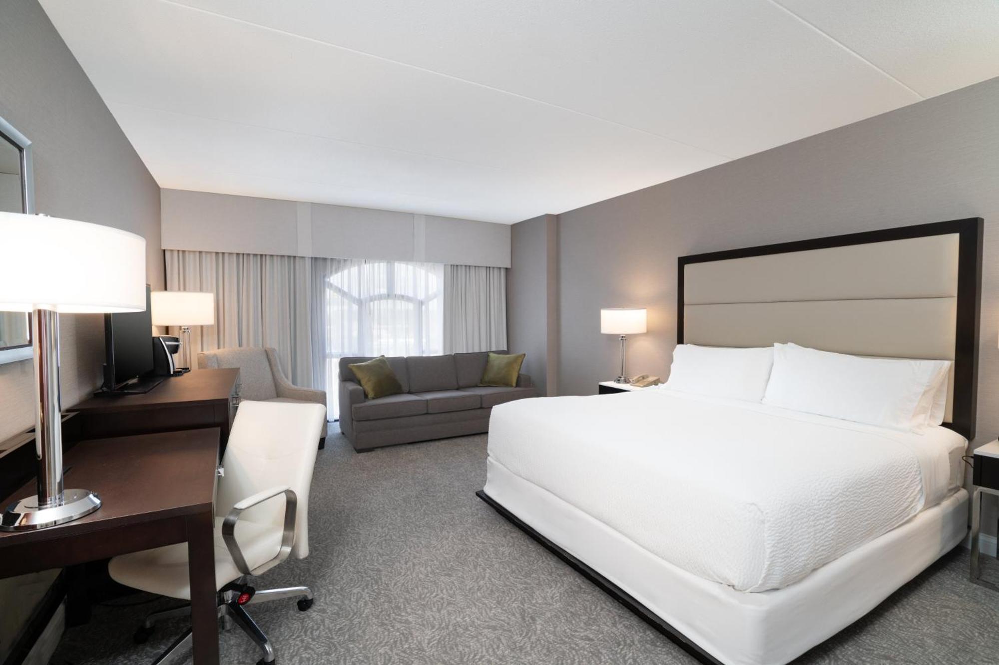 Standard King Room Sofa Bed
