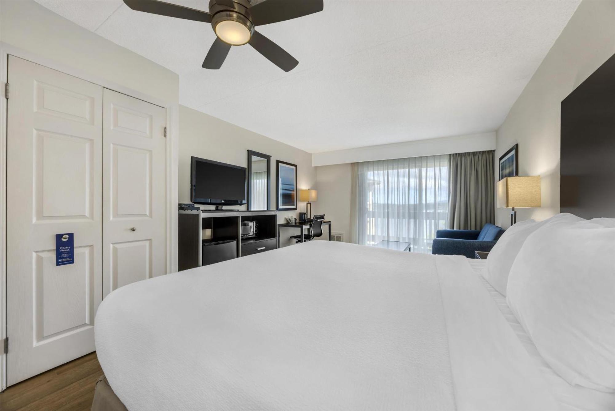 Pet Friendly 1 King Bed Balcony,1731446372:JPEG