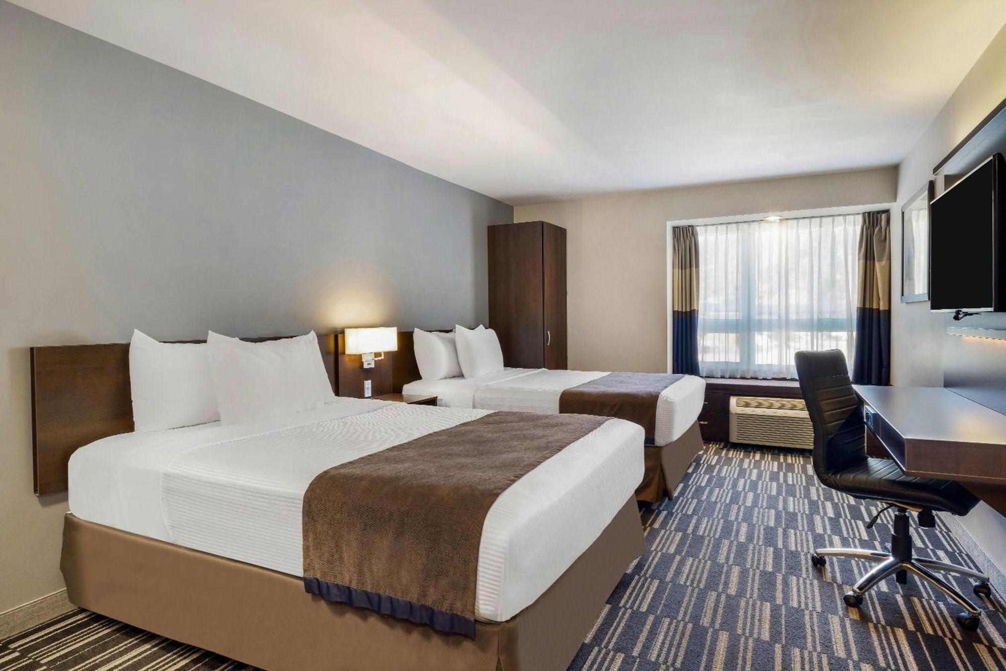 Studio Suite Two Queen Beds Non-Smoking