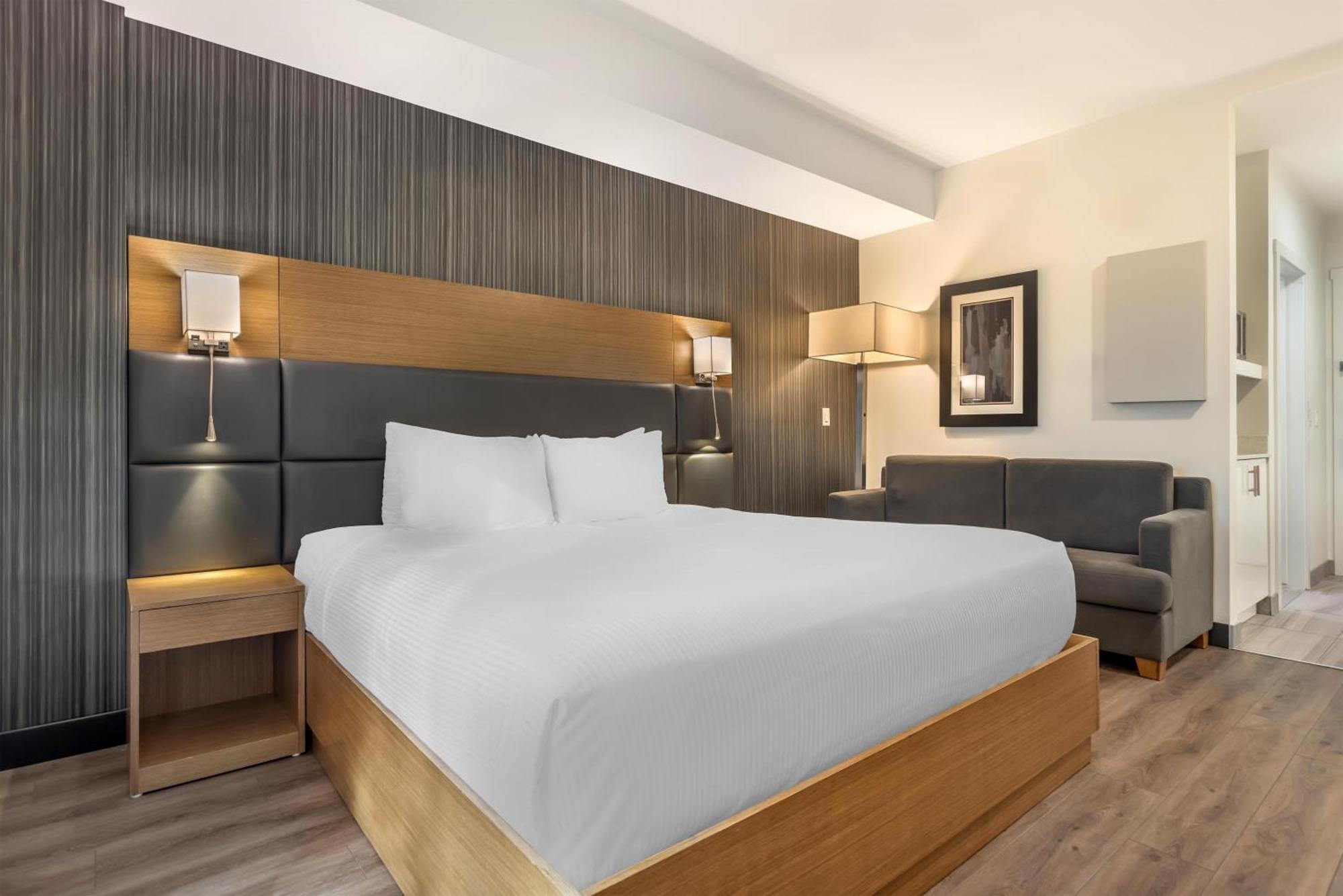 King Room Pet-Friendly