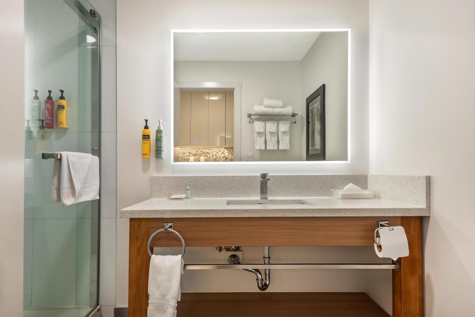 King Room Pet-Friendly