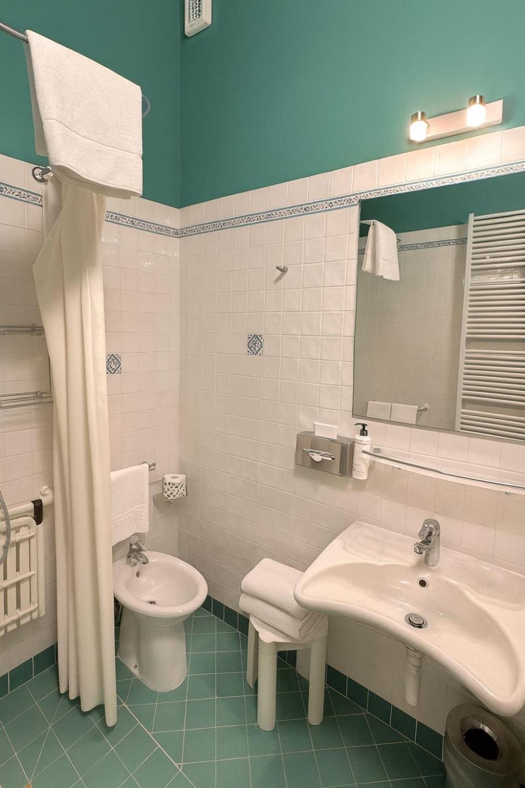 King Room Roll Shower Disability Access