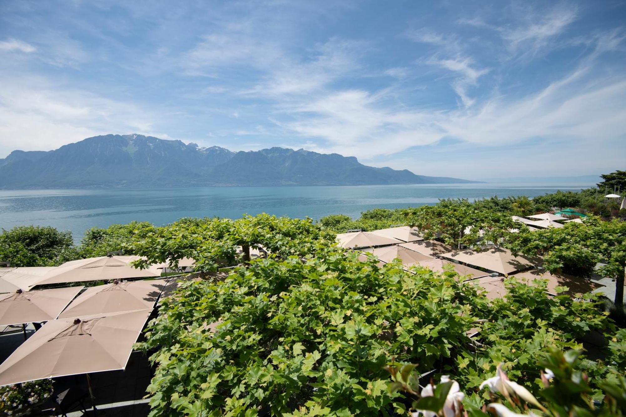 Suite con terraza