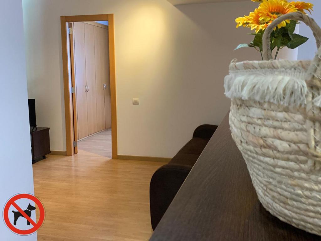 One-Bedroom Apartment Terrace