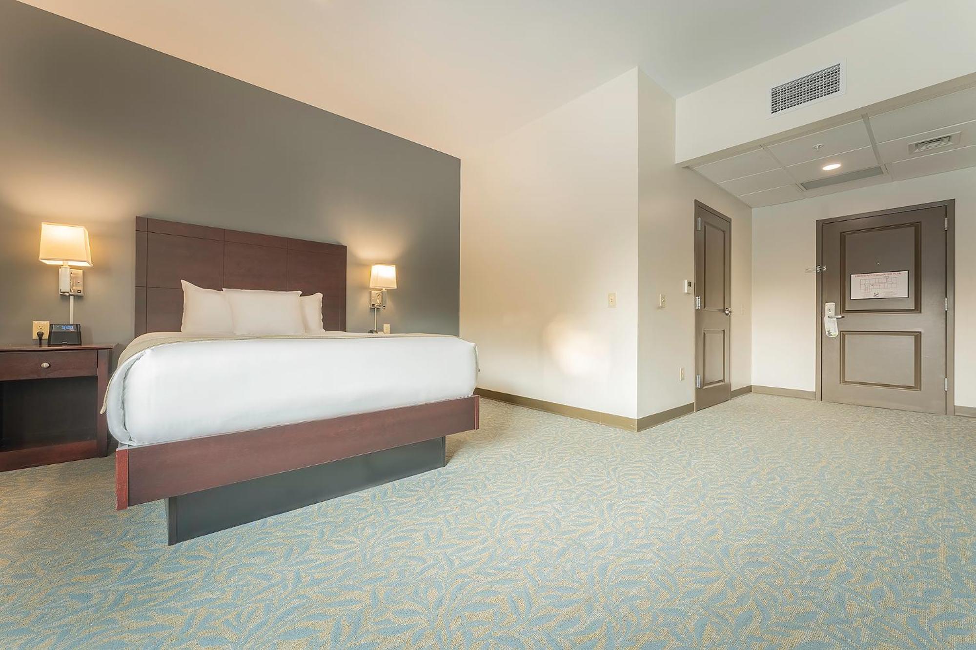 Deluxe Queen Room - Disability Access