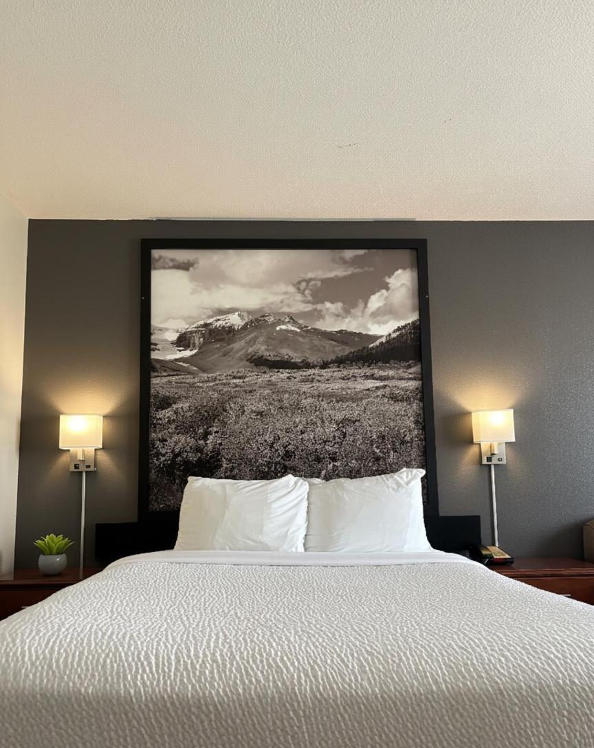 Queen Room Mobility Access Pet-Friendly or Non-Smoking