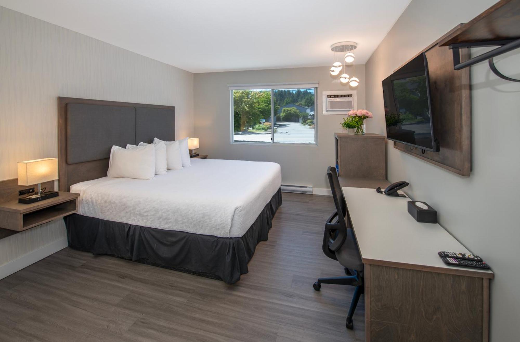 Room with 1 King Bed - Garden view