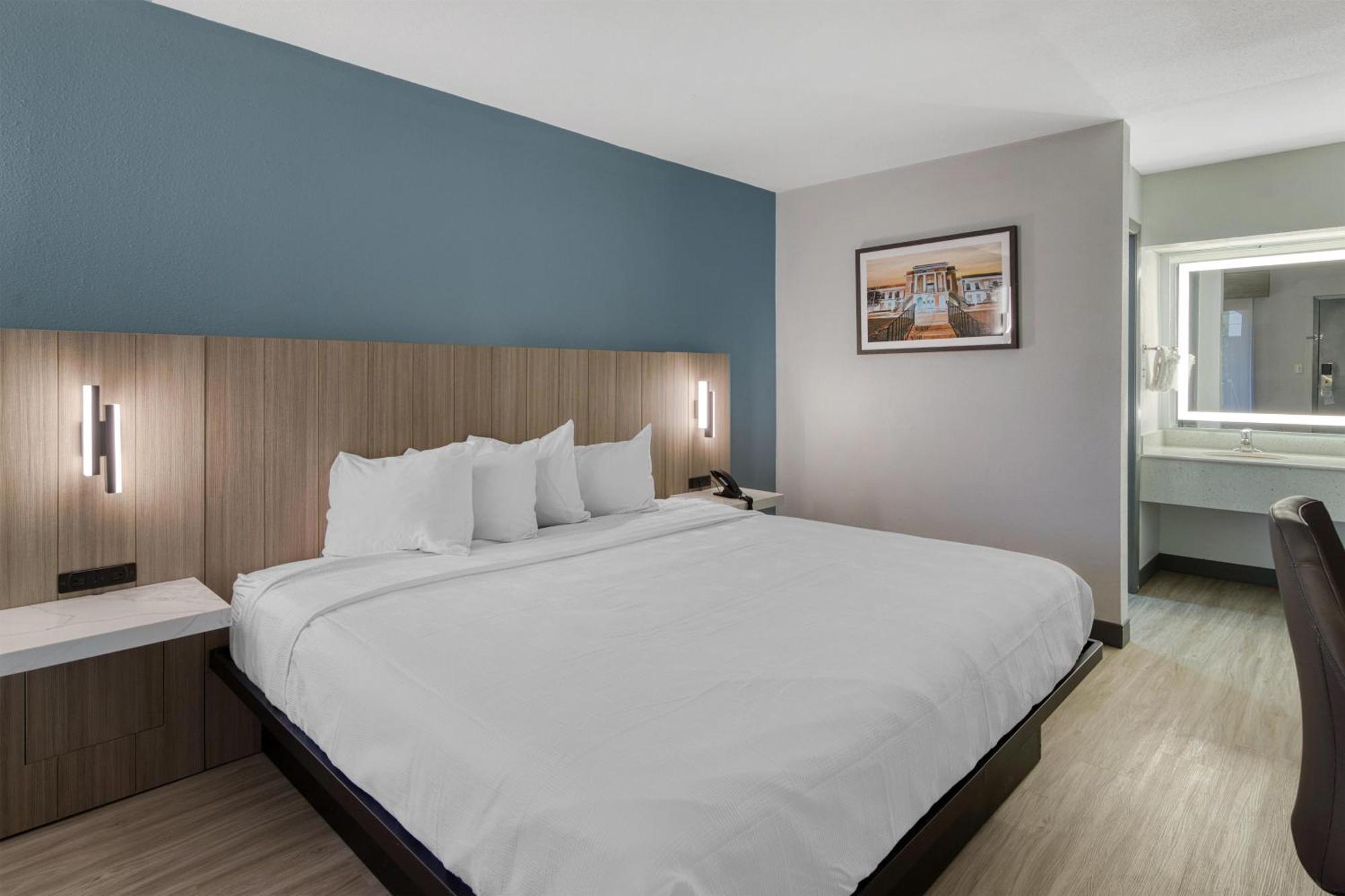 King Room - Pet-Friendly