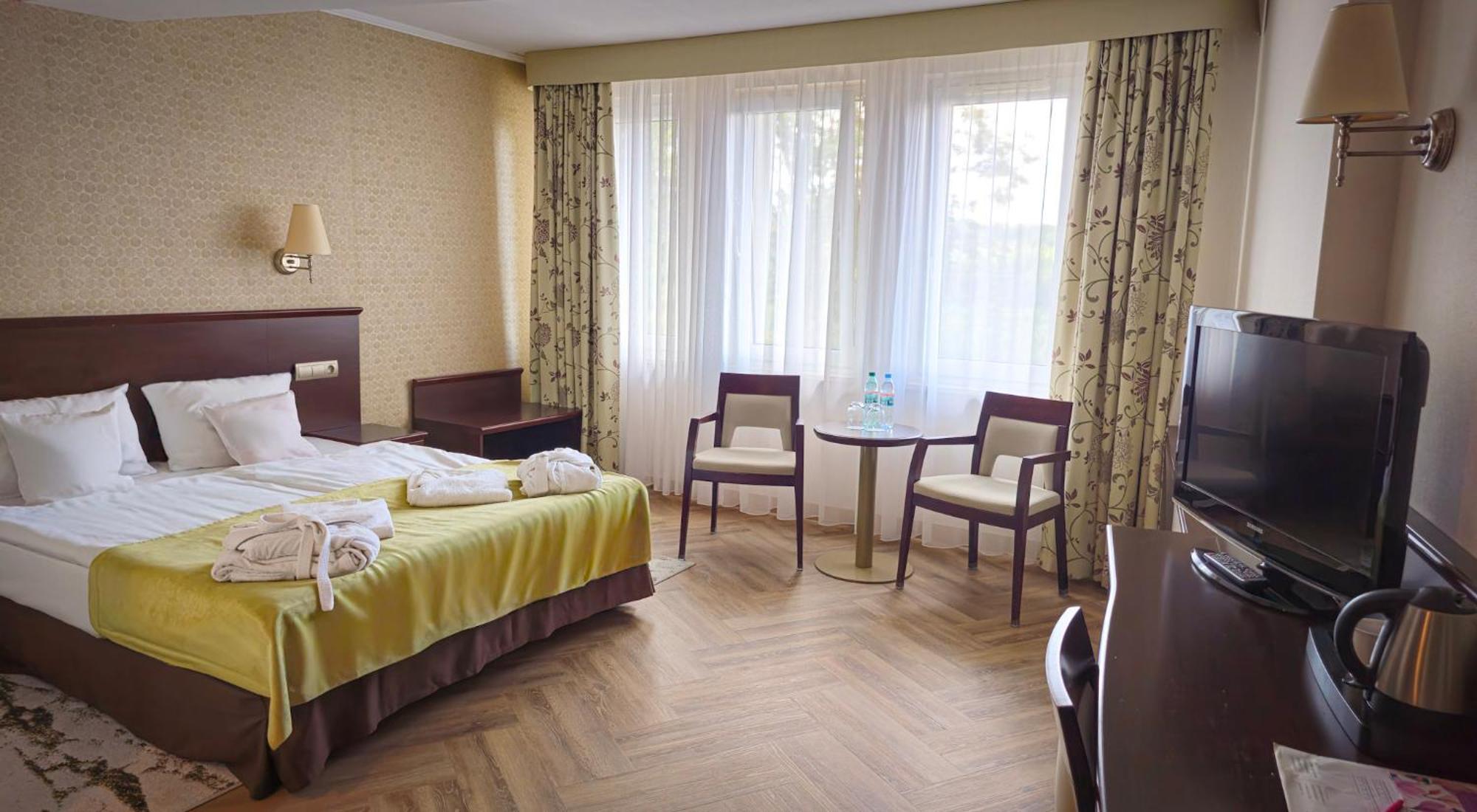 Double Room Mountain View
