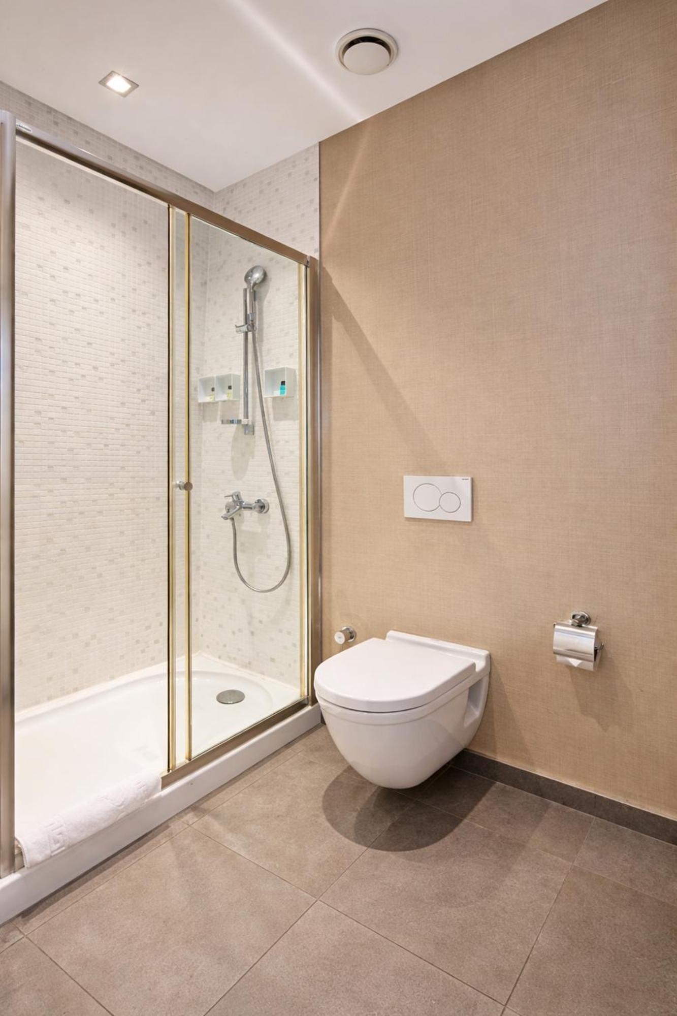Deluxe One-Bedroom Apartment