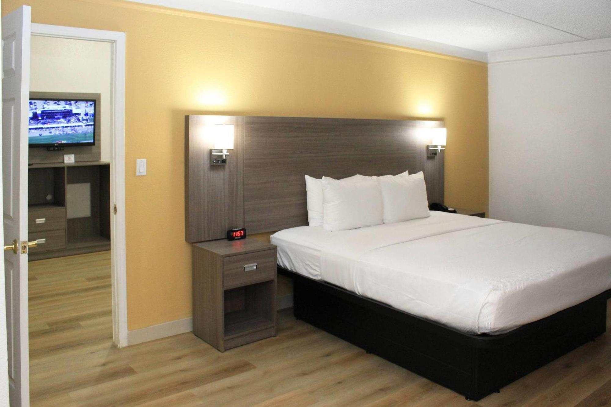 1 King Bed 