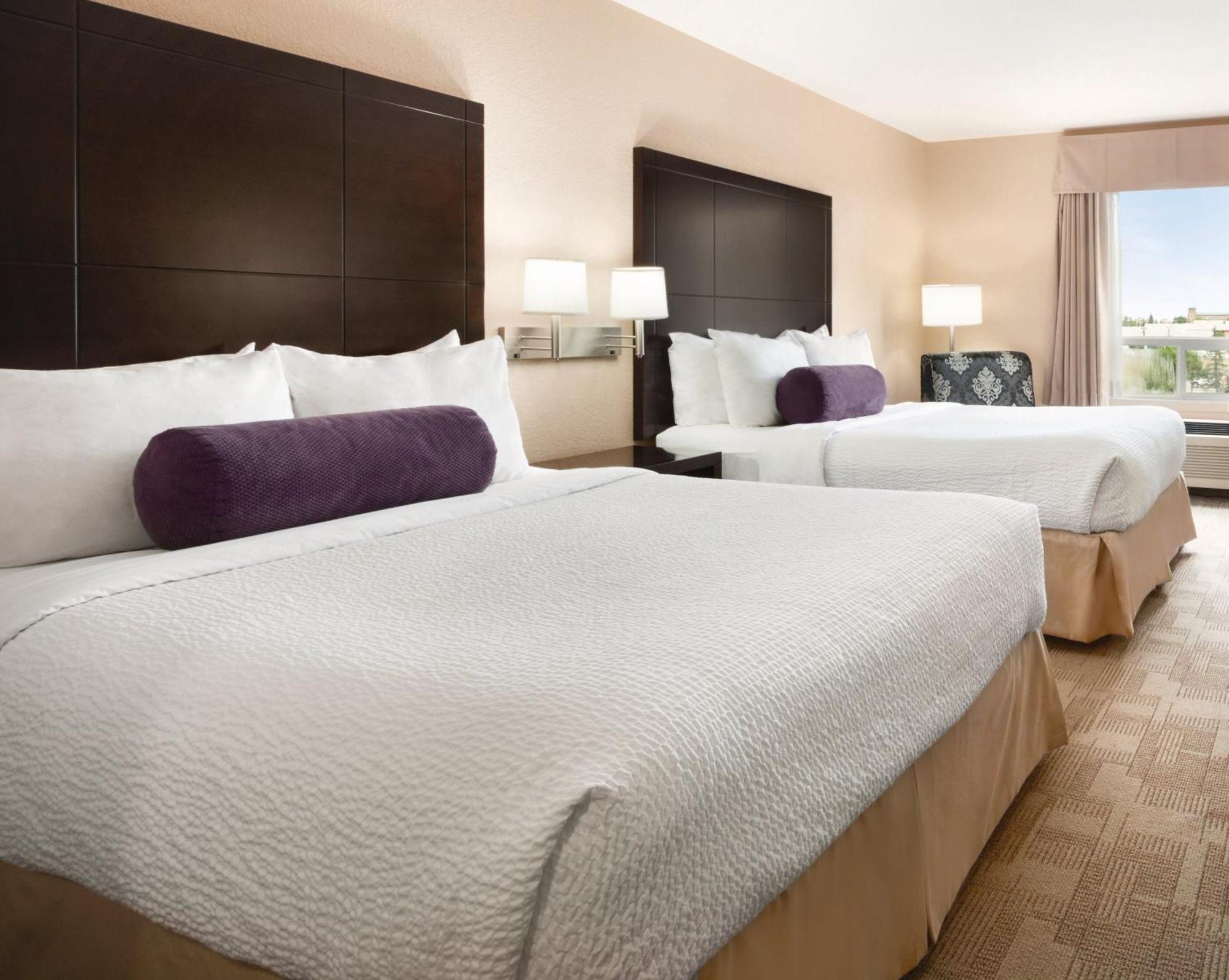 One-Bedroom Queen Suite