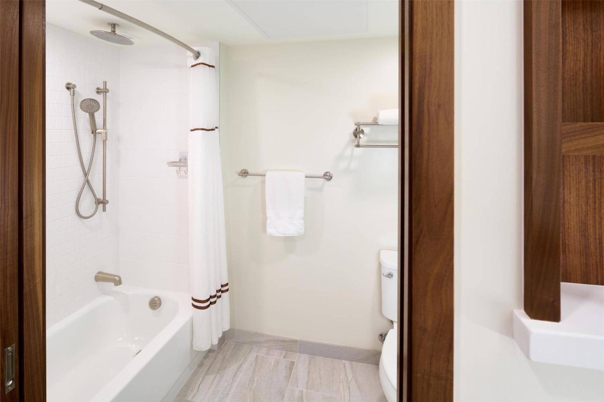 Premium Partial Ocean View 1 King Bed