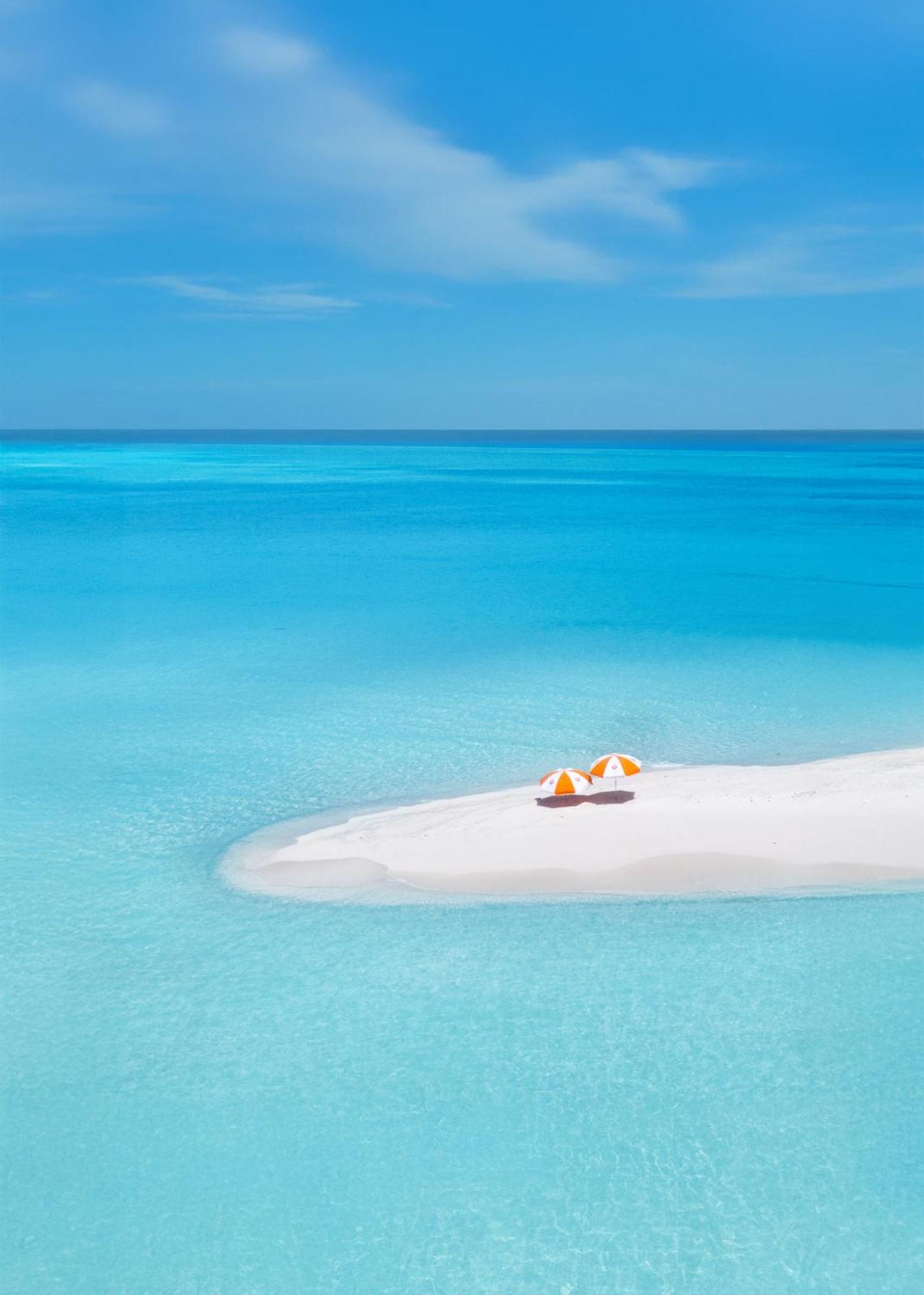 Deluxe Double Room Pool View Return Speed Boat Transfer Sand Bank Excursion & Dolphin Watching