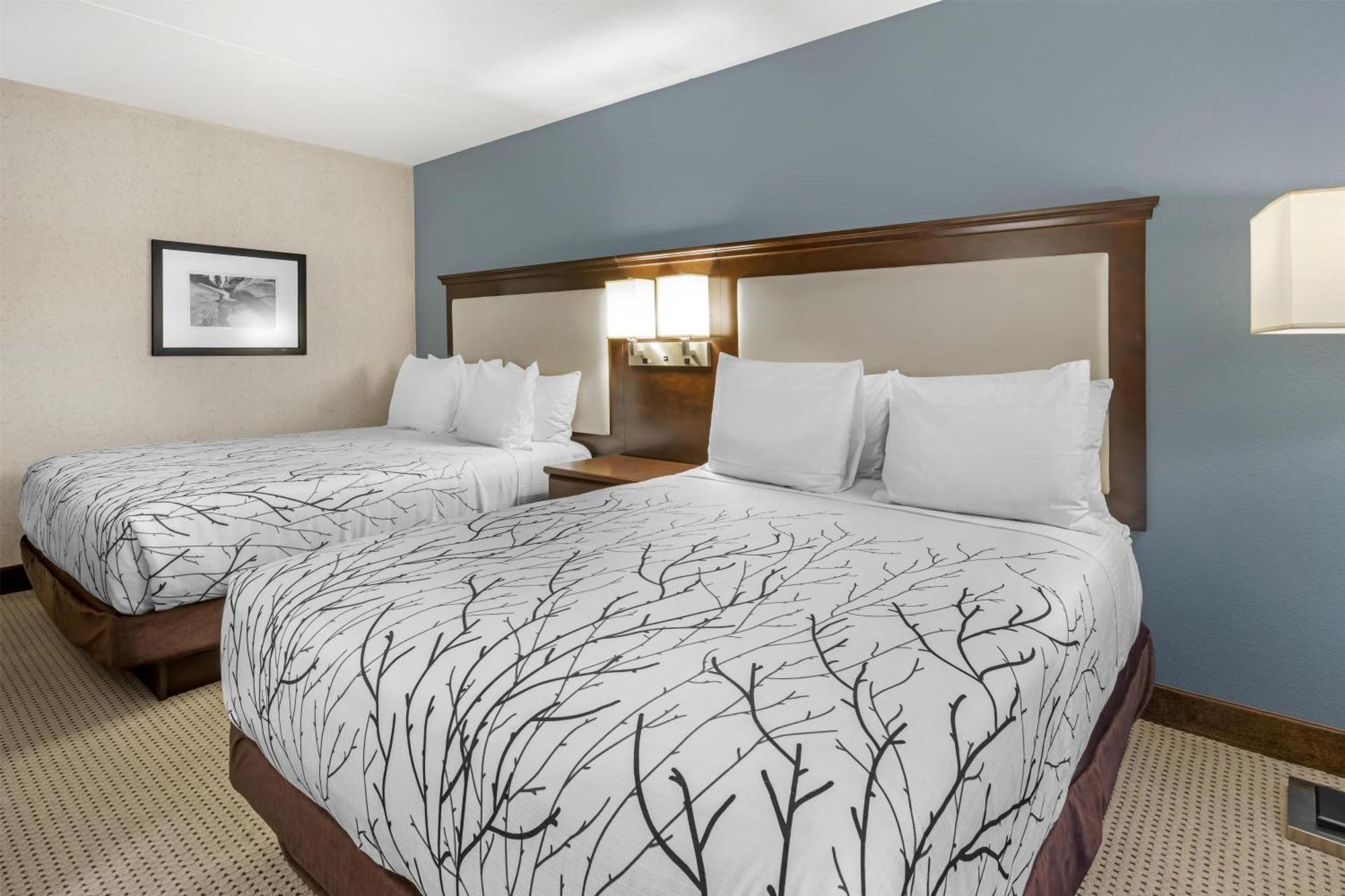 Queen Room Two Queen Beds Roll Shower Mobility Access or Non-Smoking